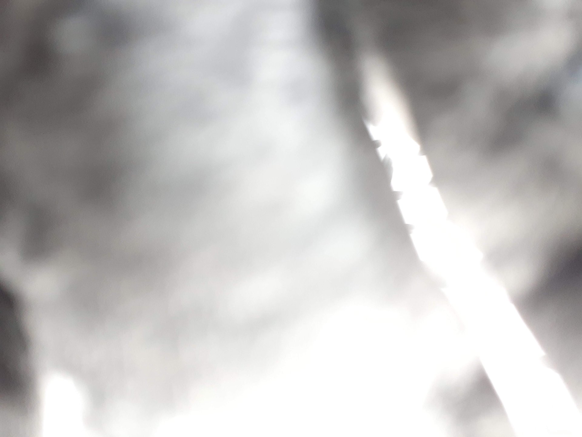 2020 (General) photo
