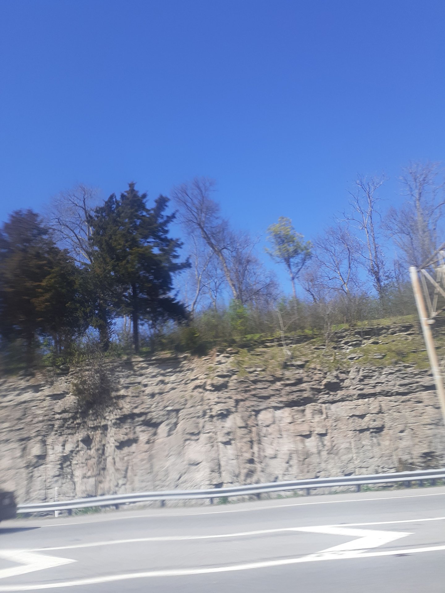 2020 (General) photo