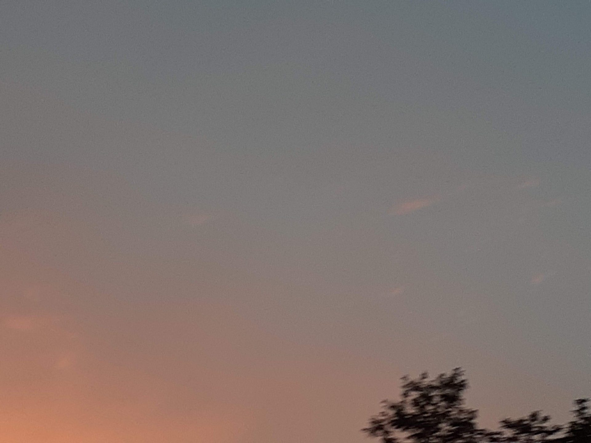 2020 (General) photo