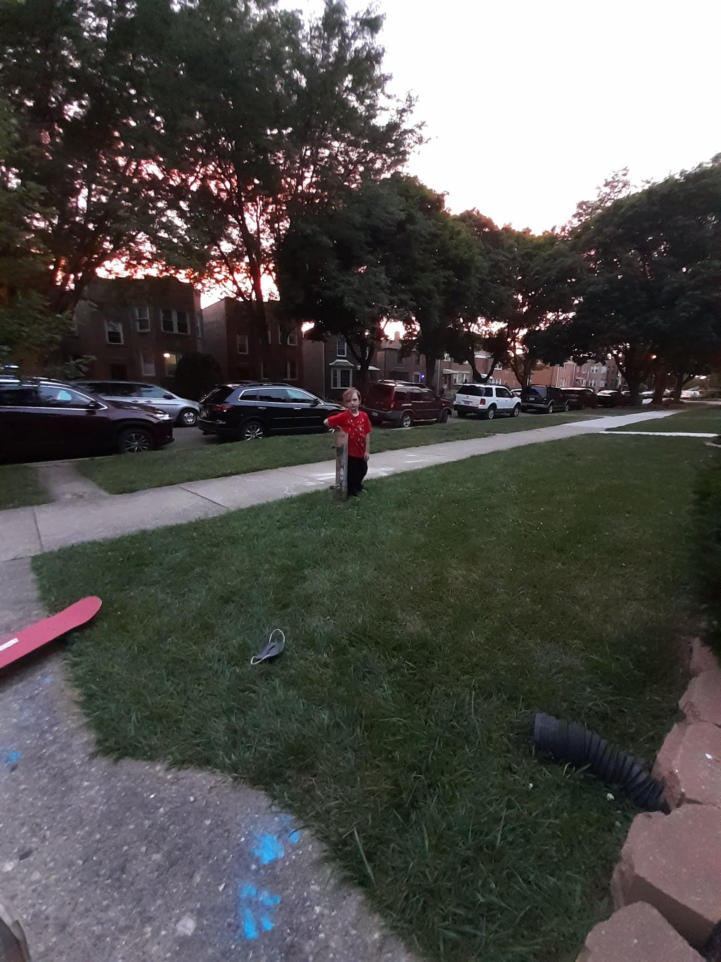 2020 (General) photo