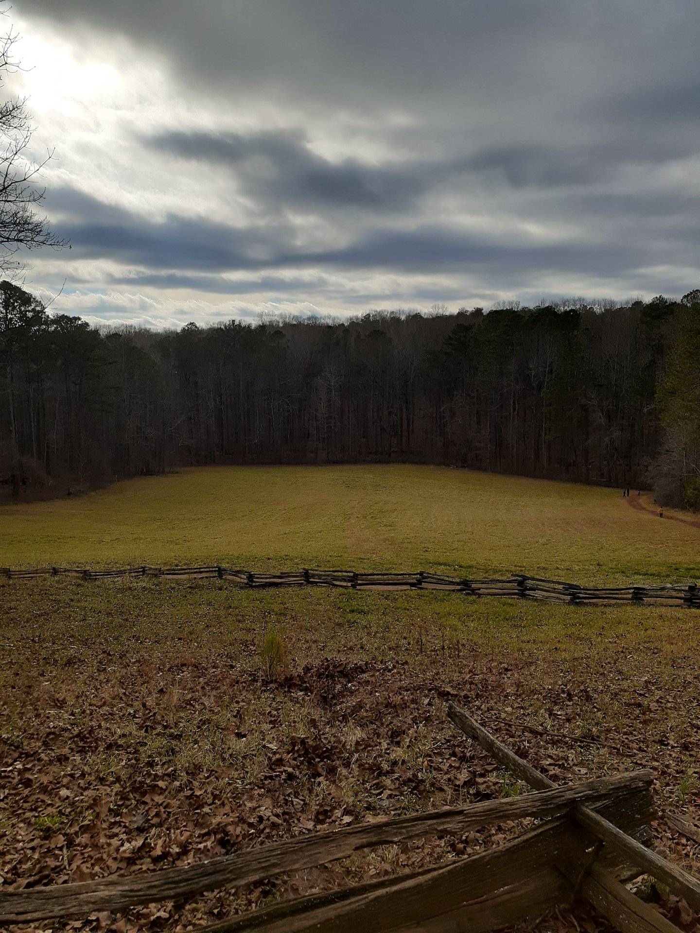 2021 (General) photo