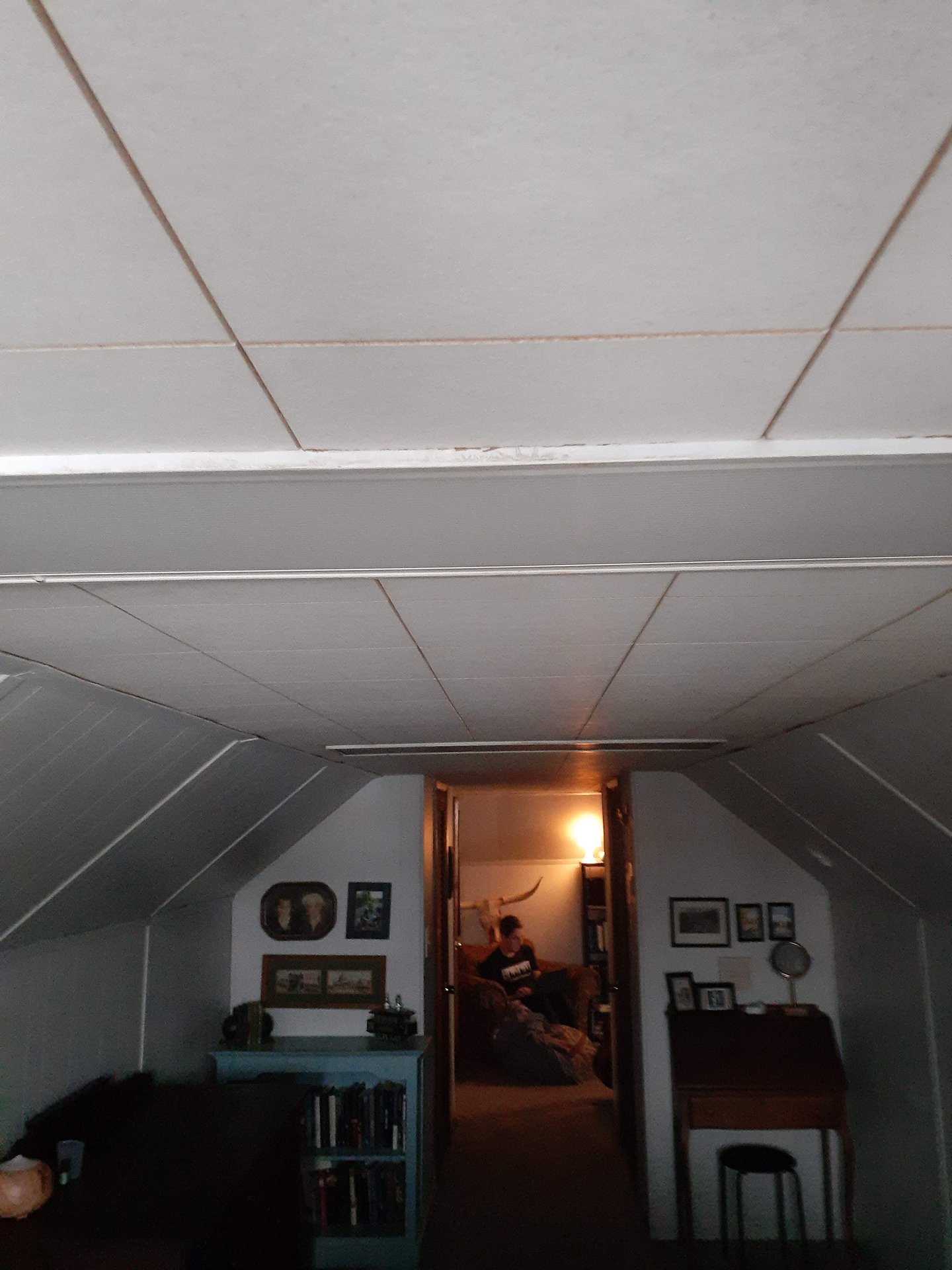 2021 (General) photo