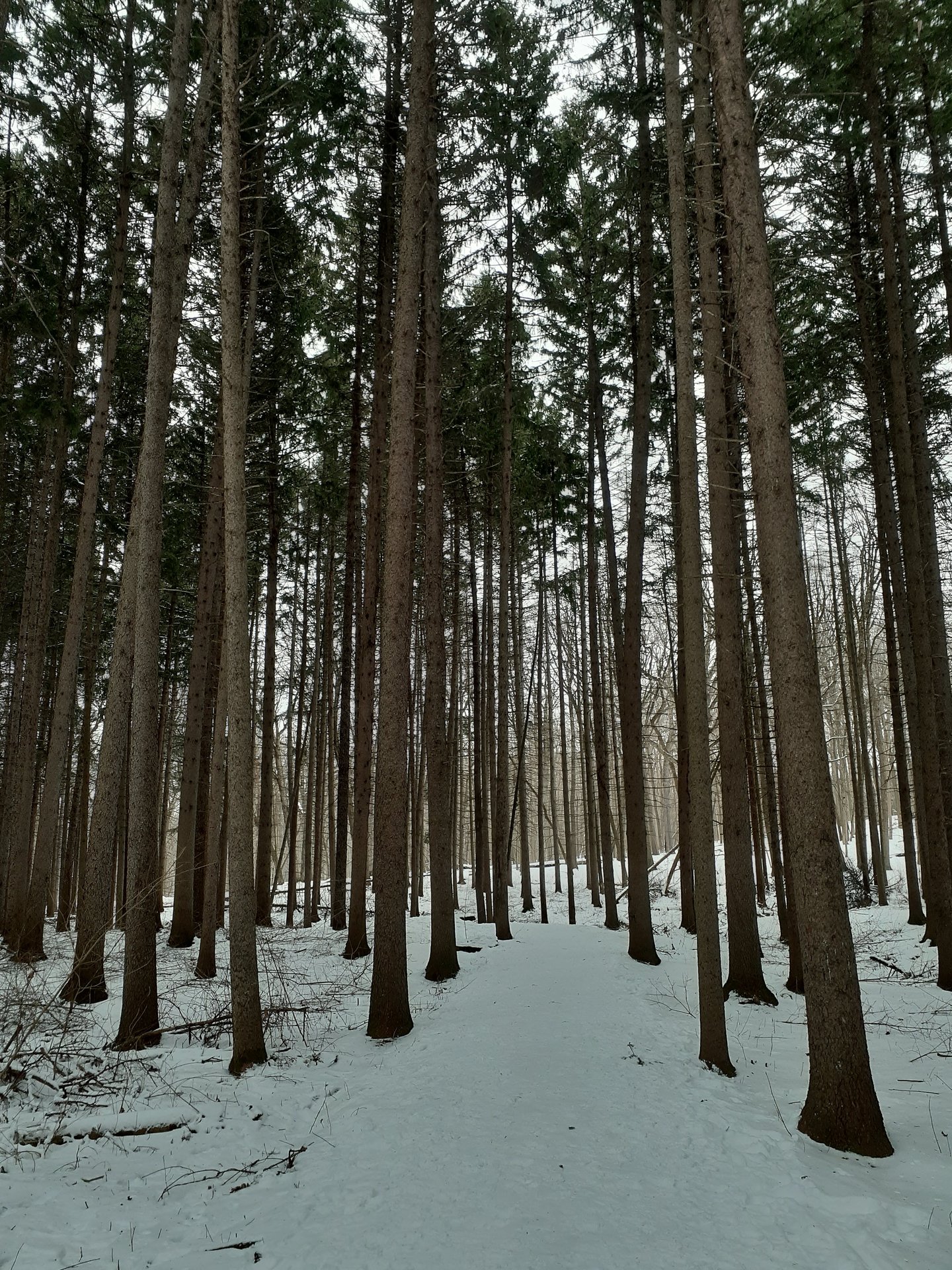 2021 (General) photo