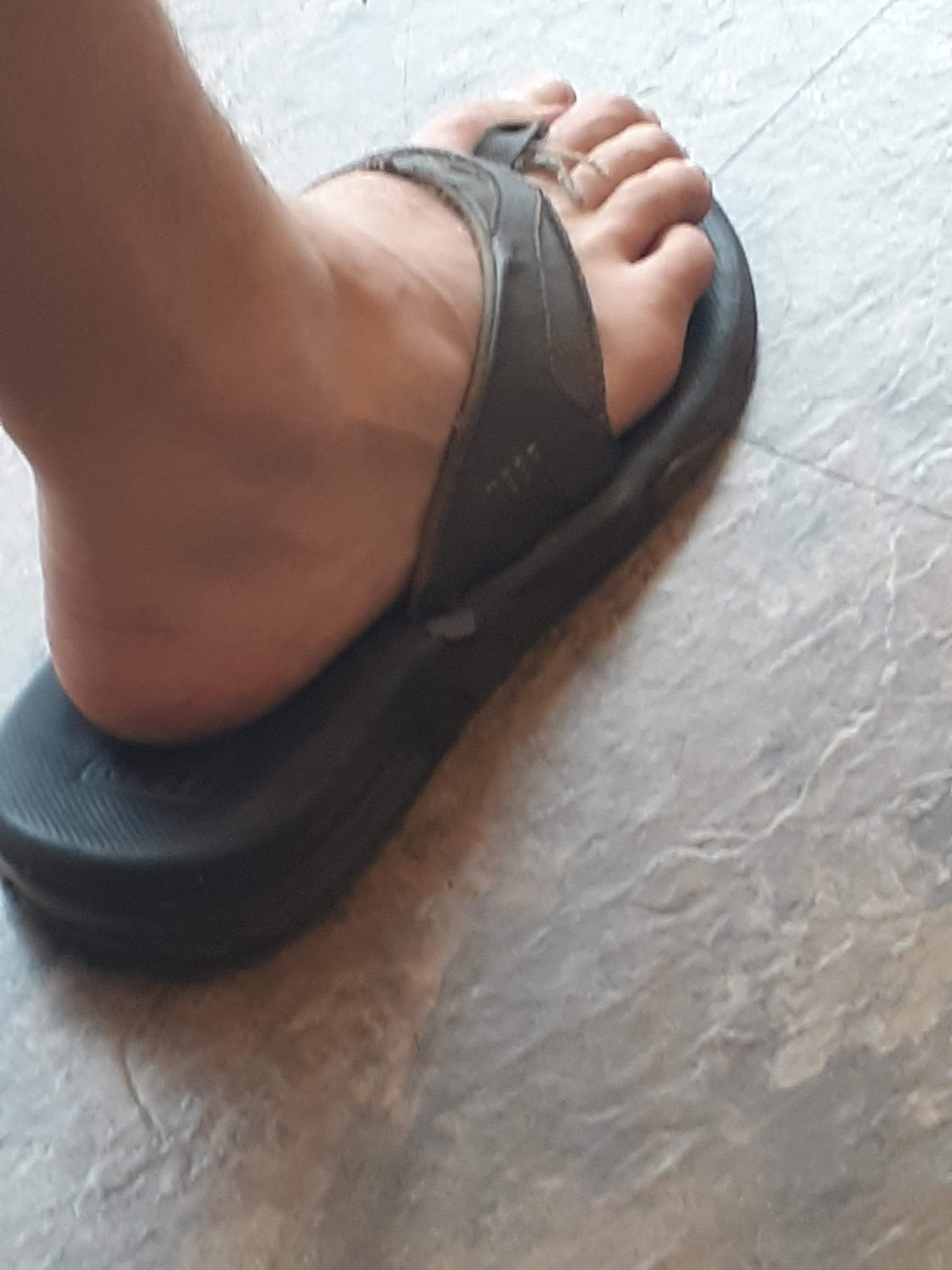 2021 (General) photo