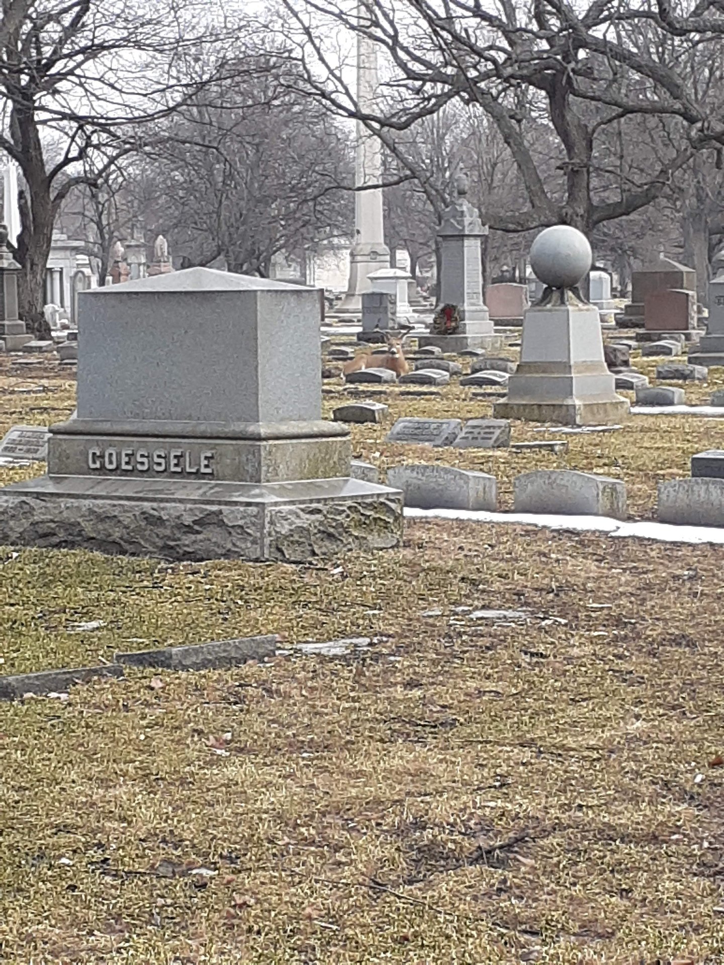2022 (General) photo