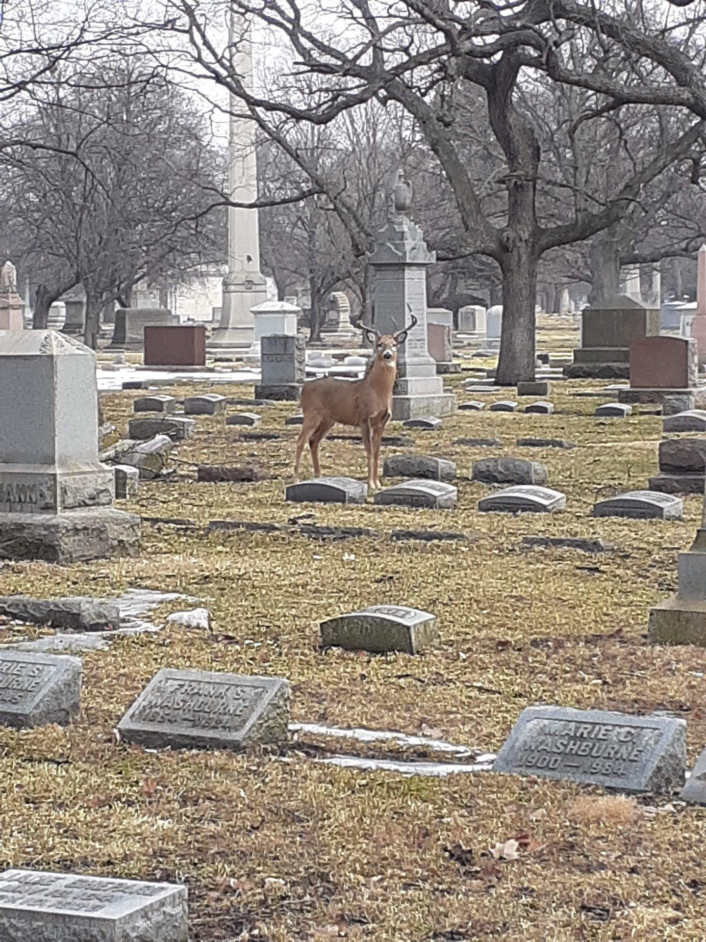 2022 (General) photo