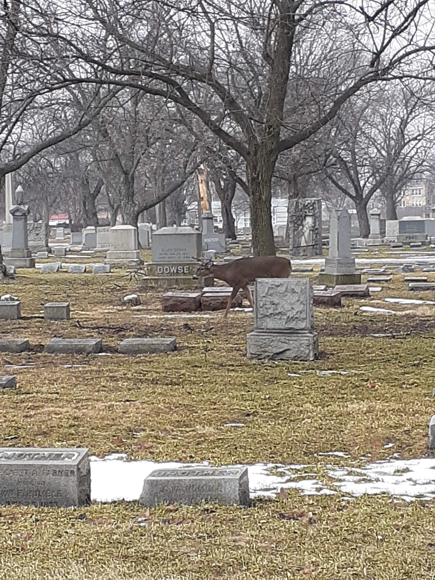 2022 (General) photo