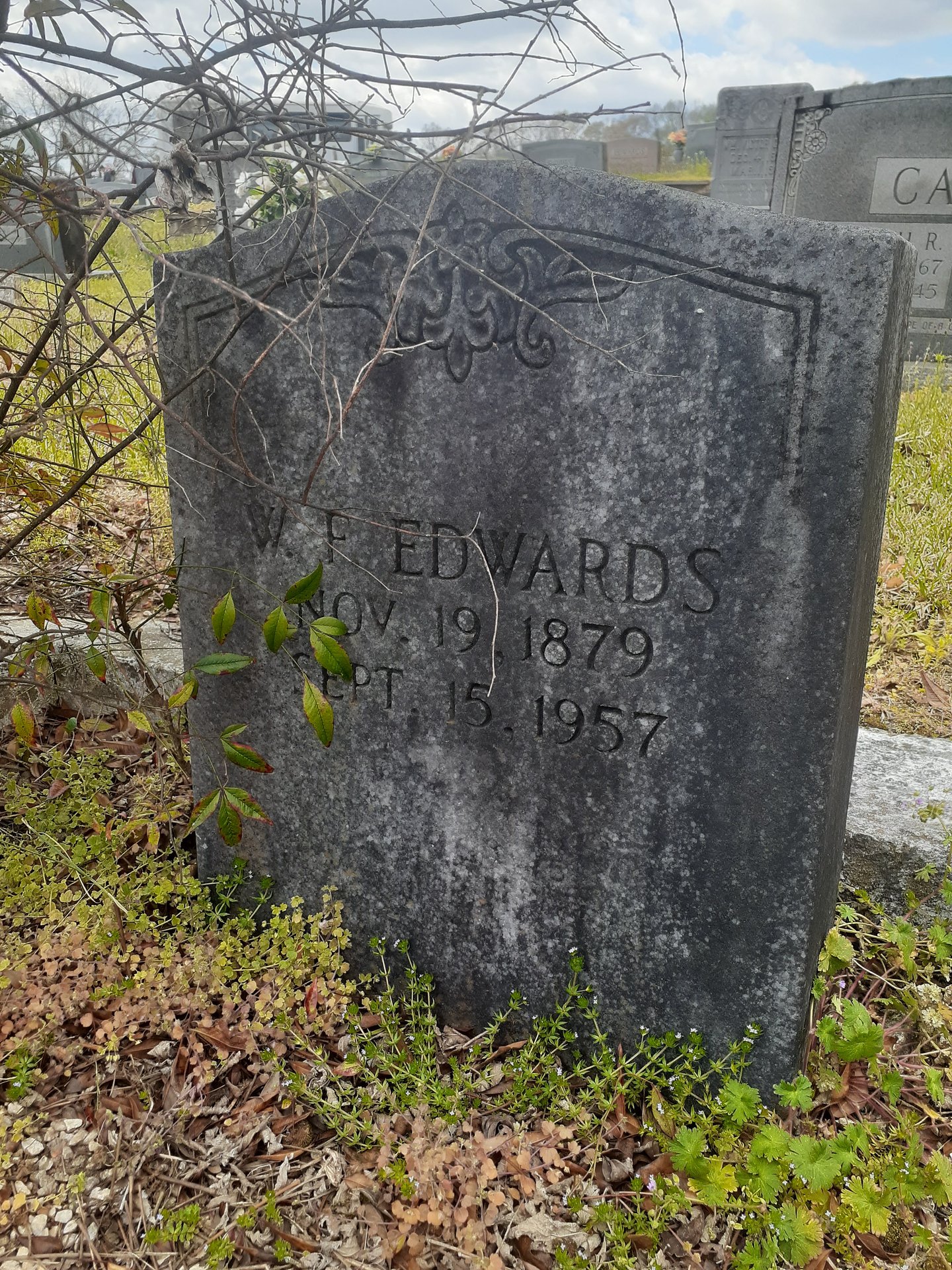 2022 (General) photo
