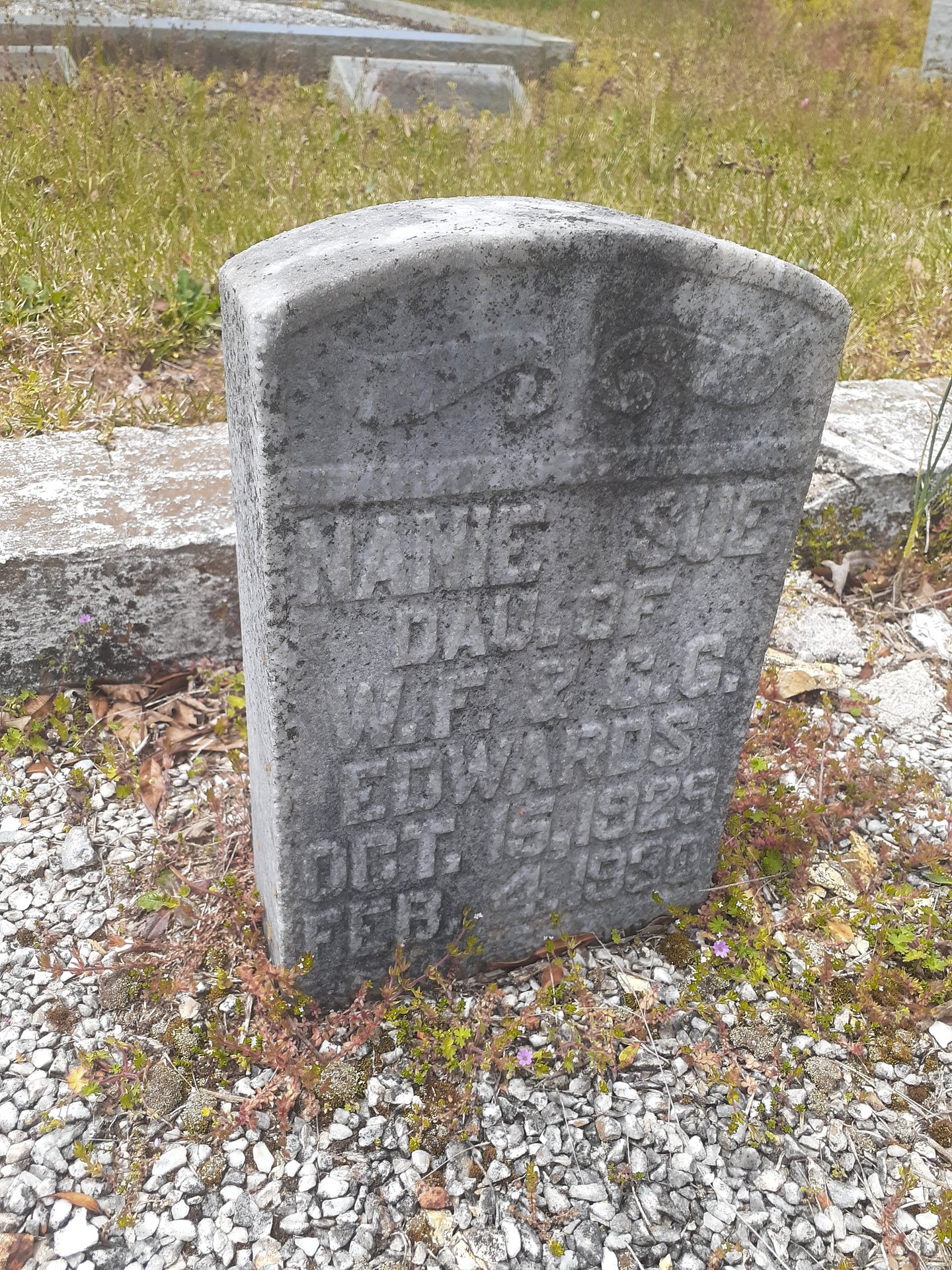2022 (General) photo