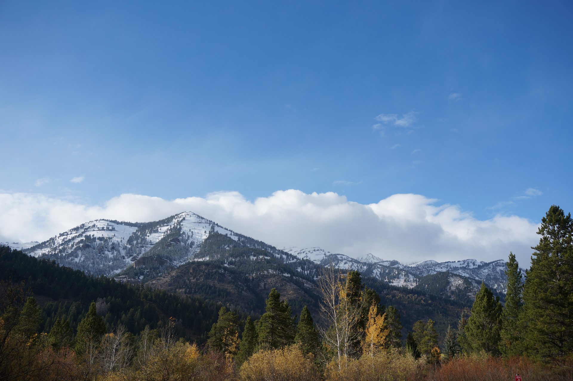 Jackson, Wyoming photo
