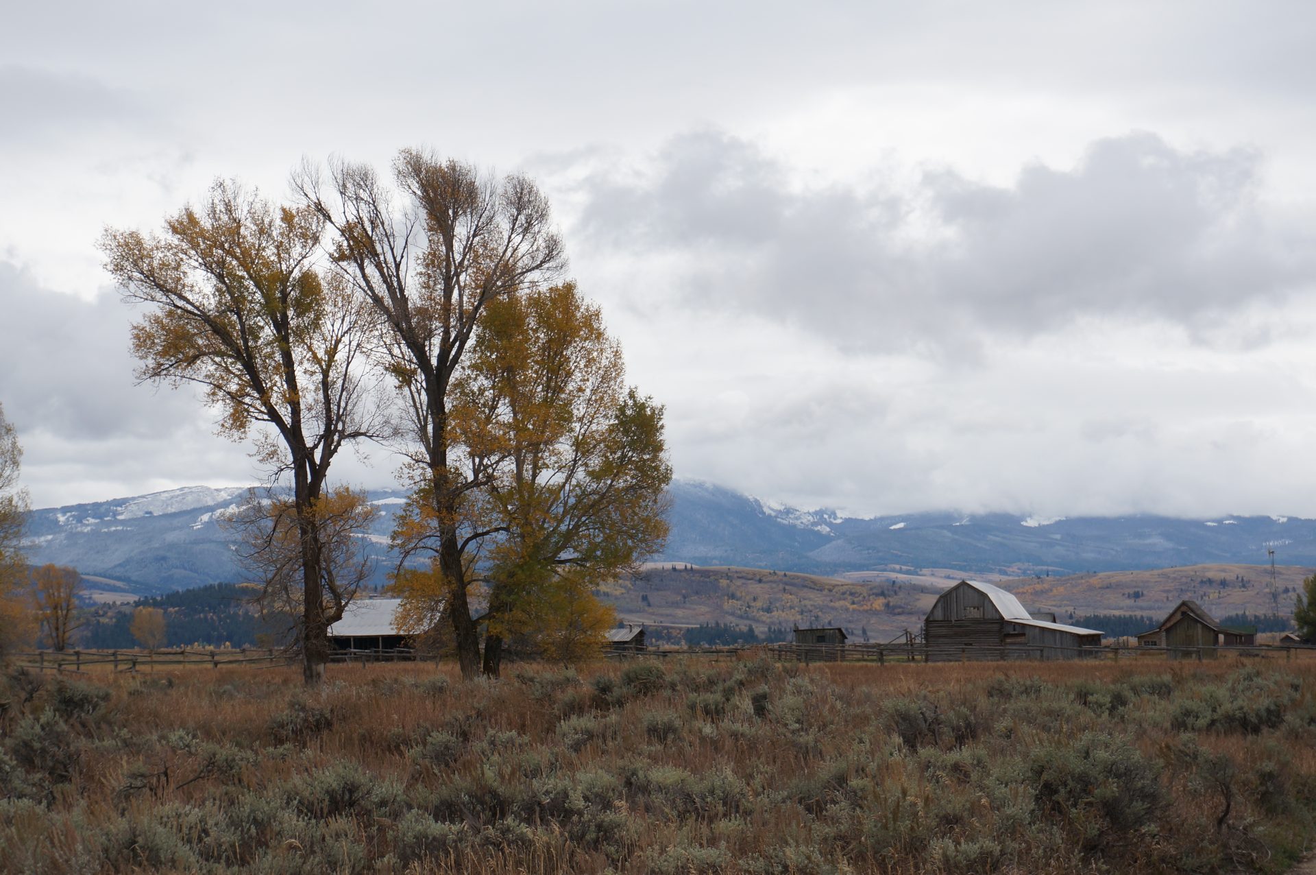 Jackson, Wyoming photo