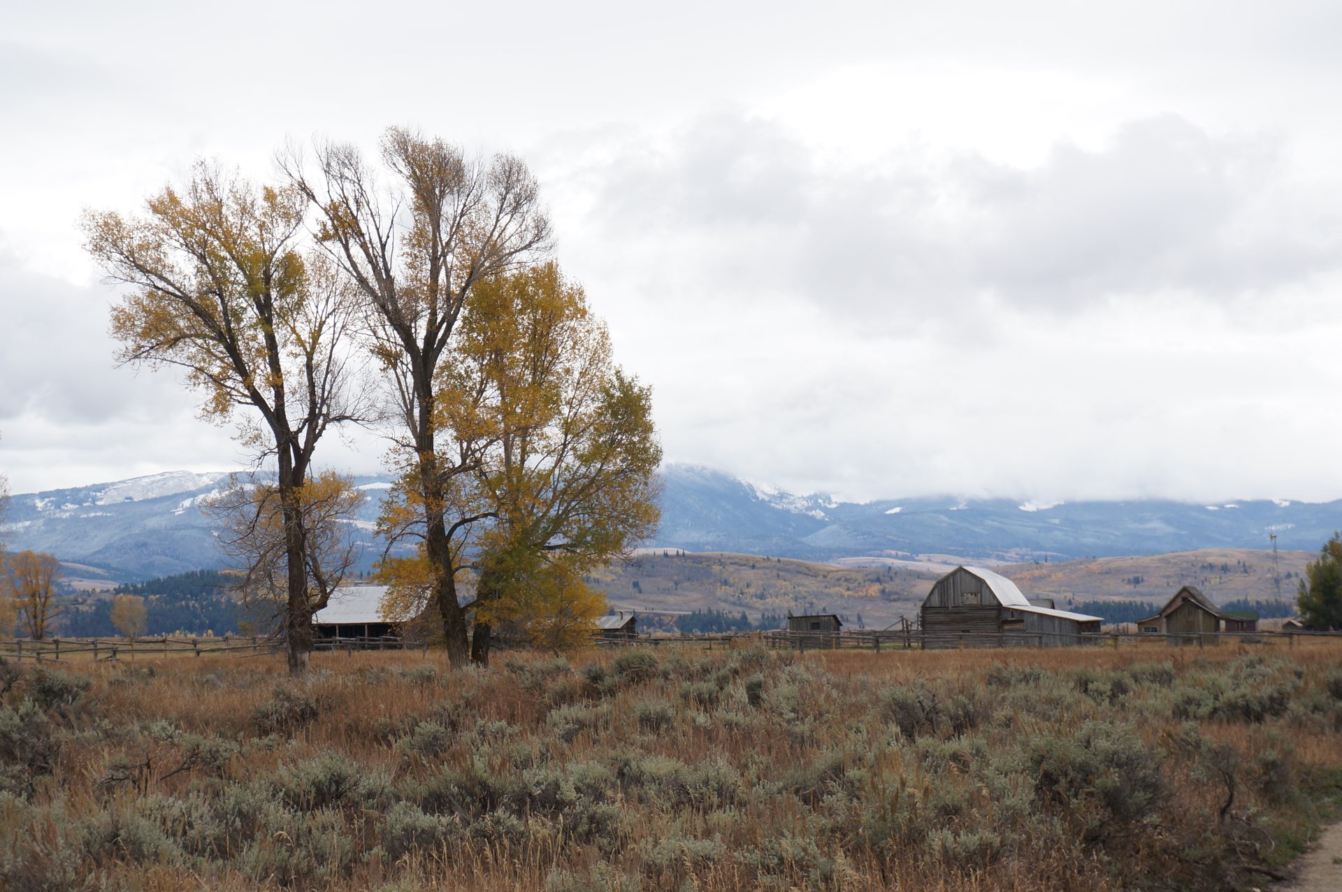 Jackson, Wyoming photo