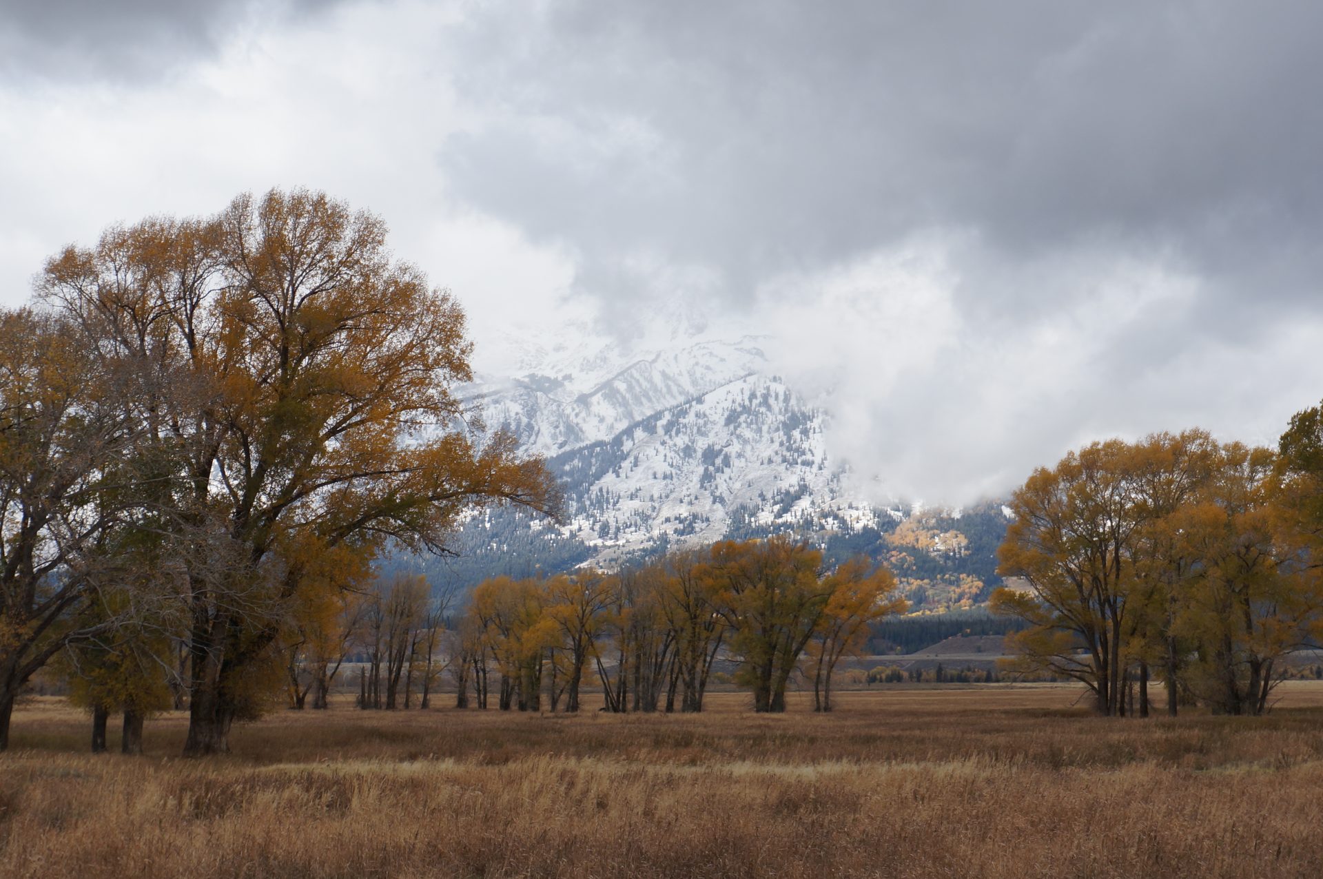 Jackson, Wyoming photo