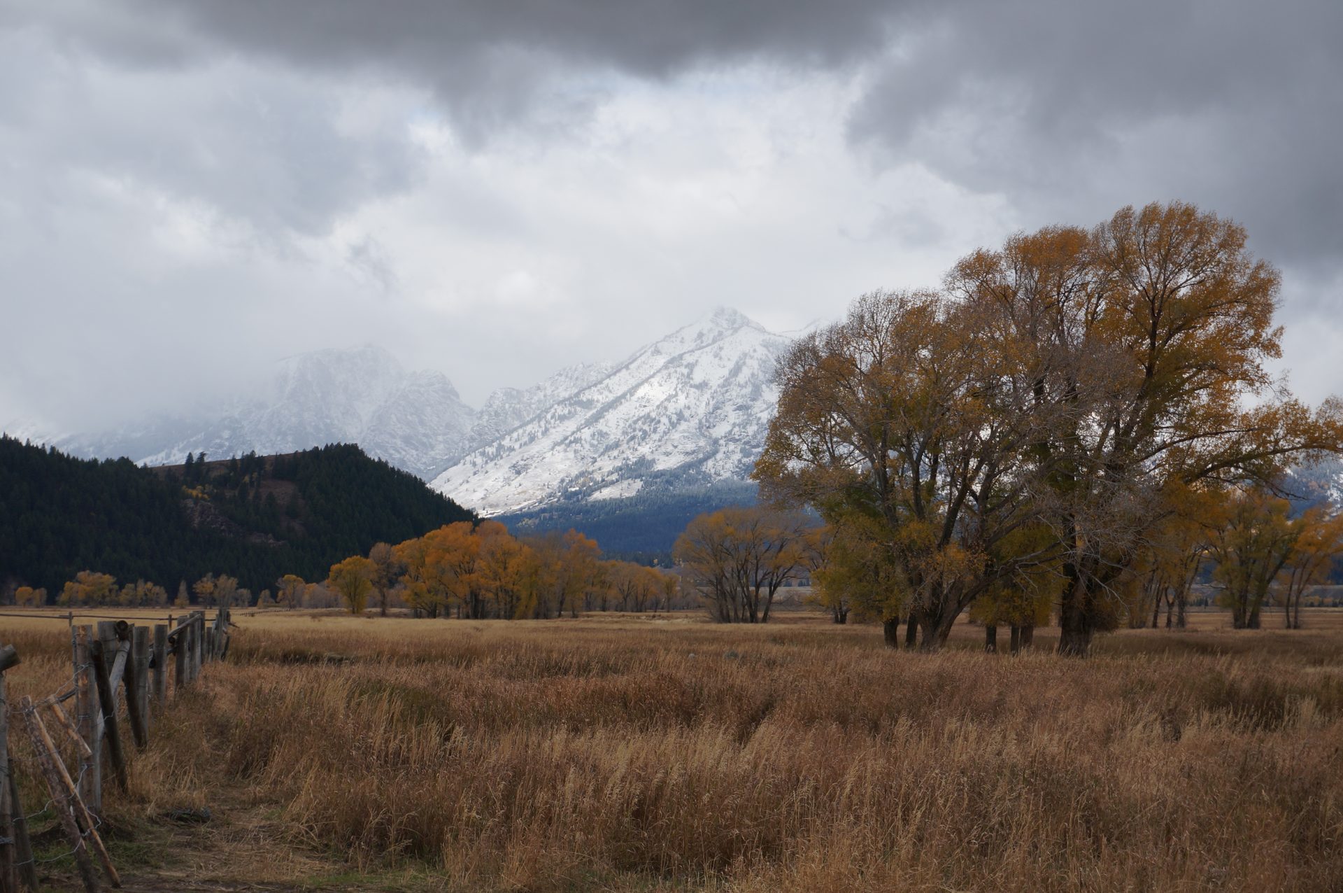 Jackson, Wyoming photo