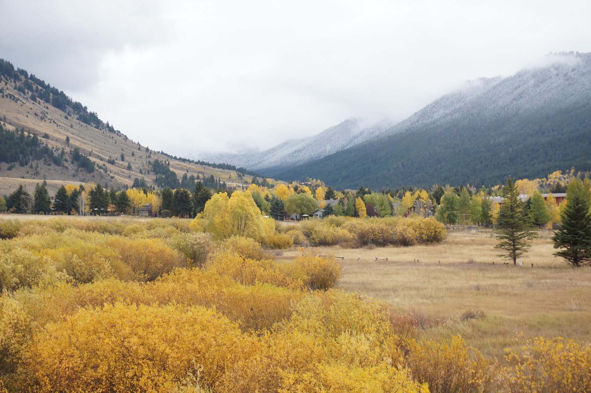 Jackson, Wyoming photo