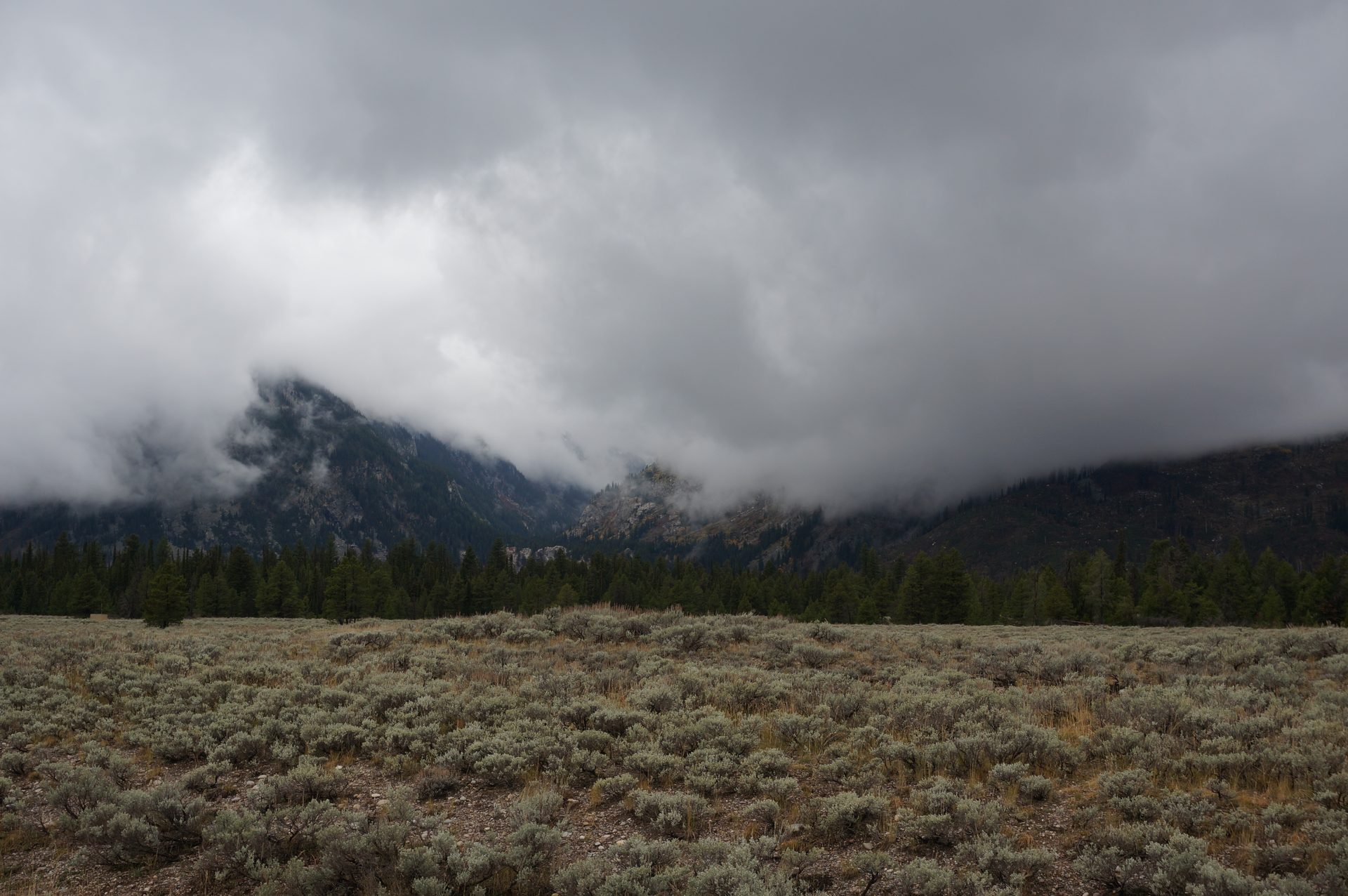 Jackson, Wyoming photo