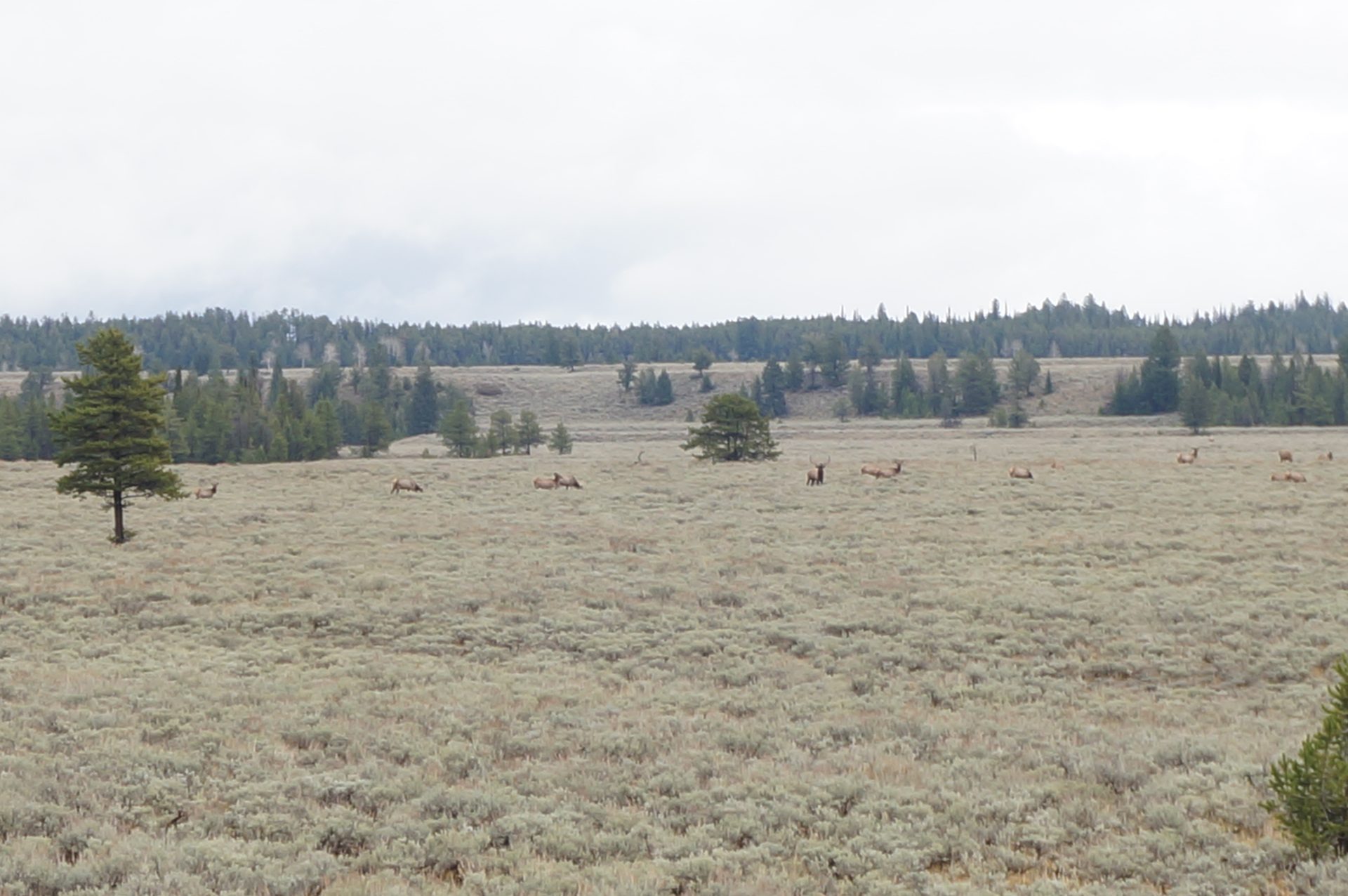 Jackson, Wyoming photo