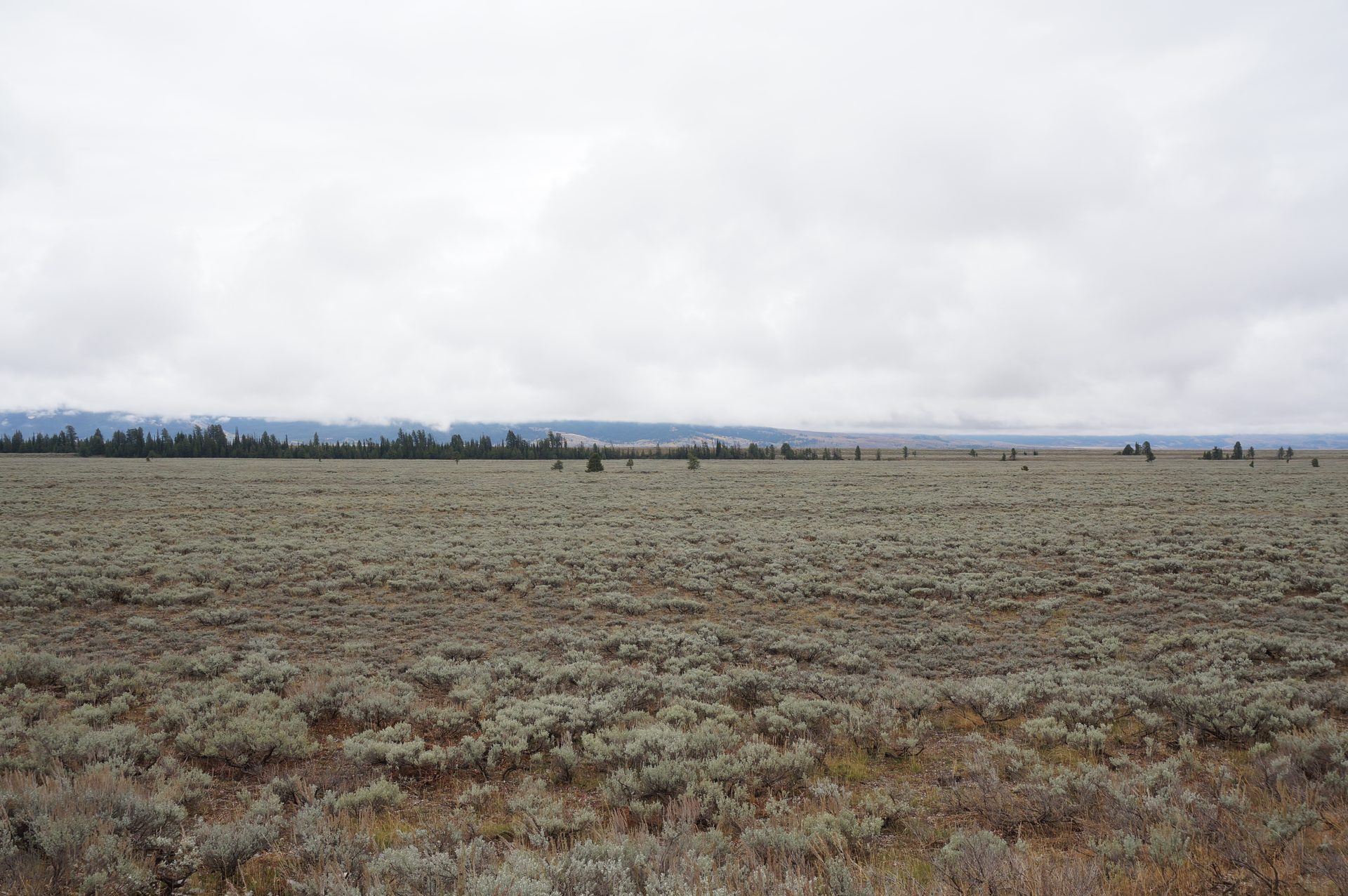 Jackson, Wyoming photo