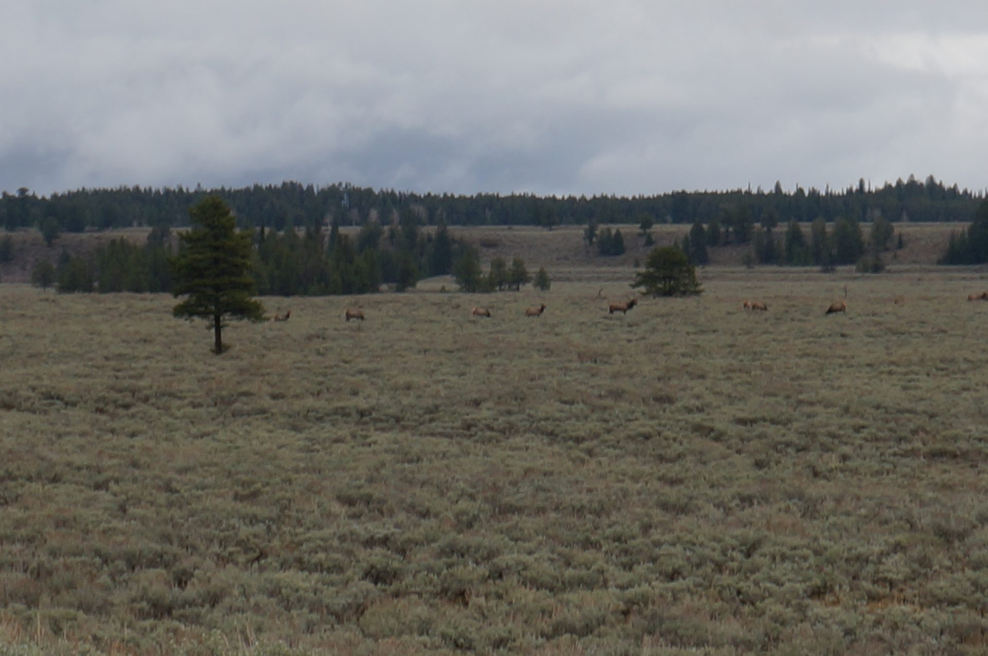Jackson, Wyoming photo