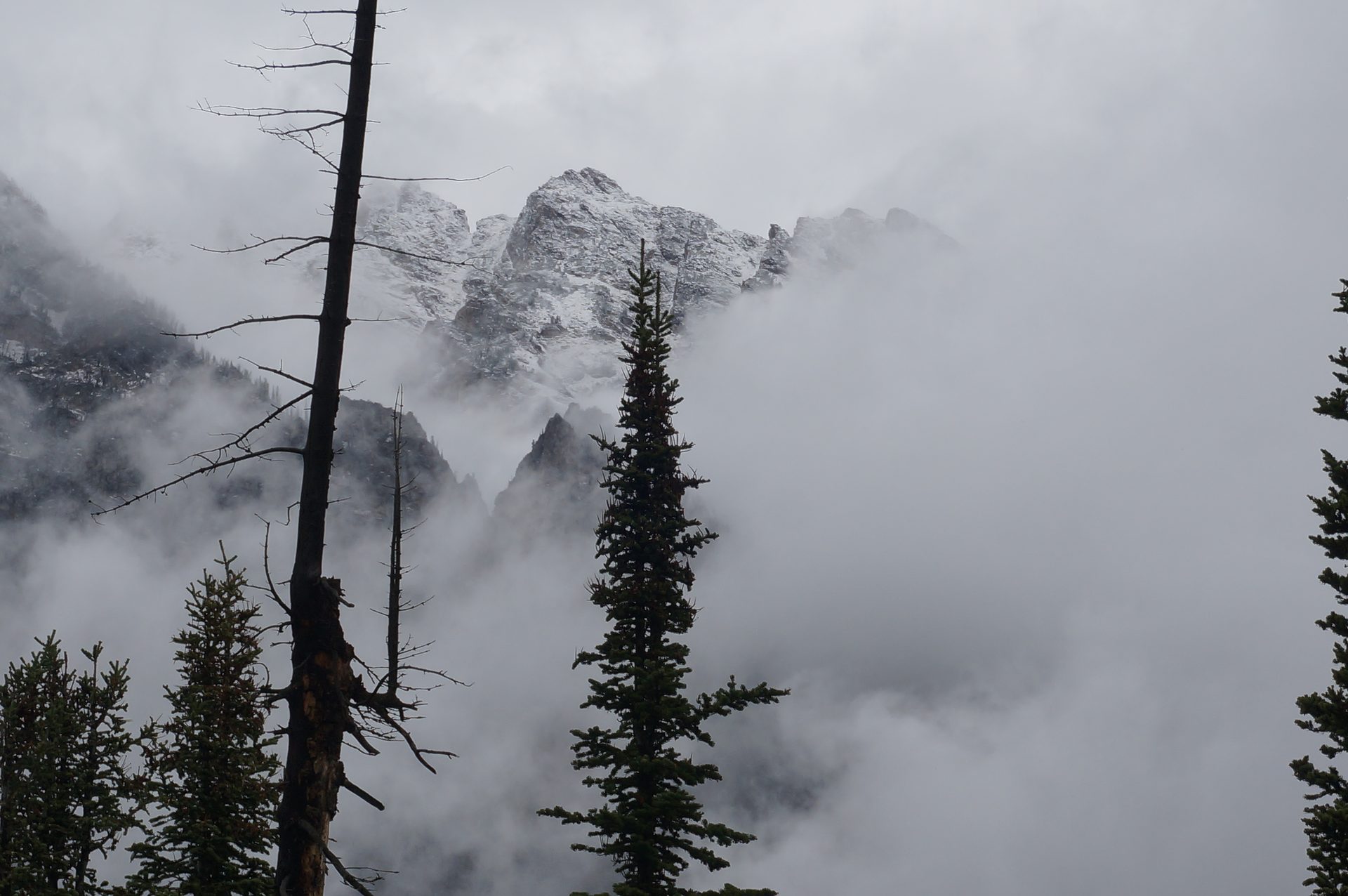 Jackson, Wyoming photo