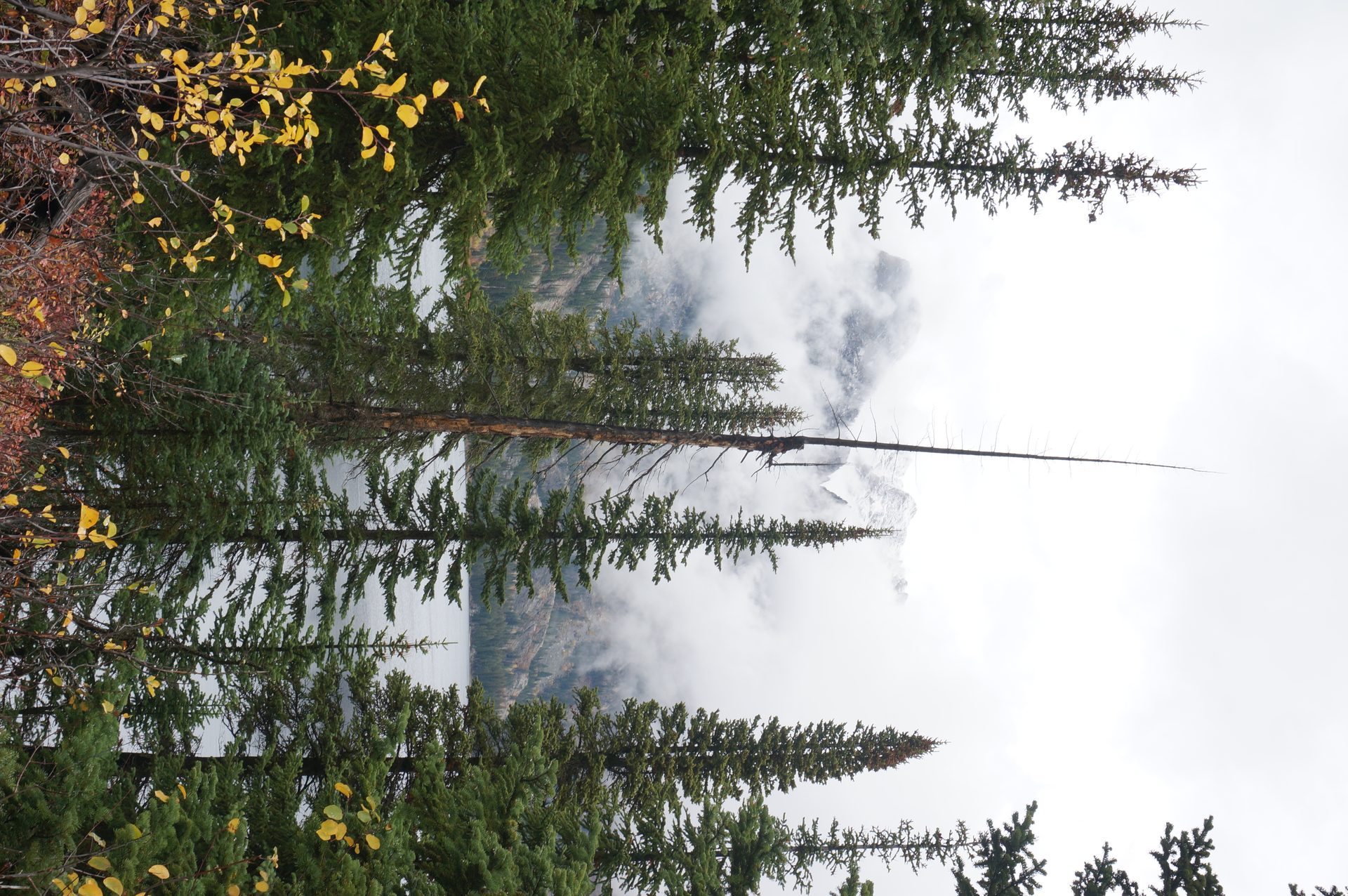 Jackson, Wyoming photo