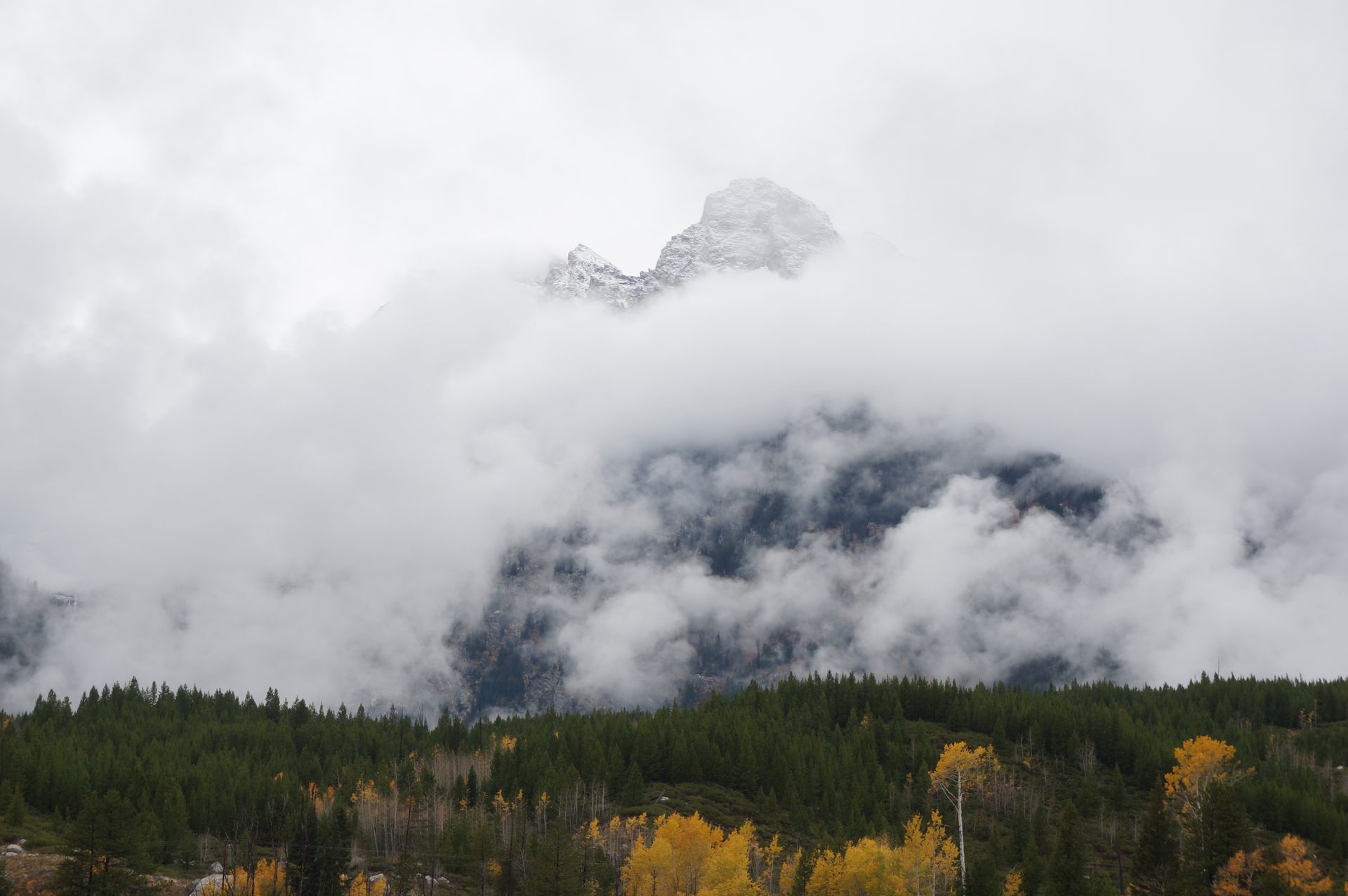 Jackson, Wyoming photo