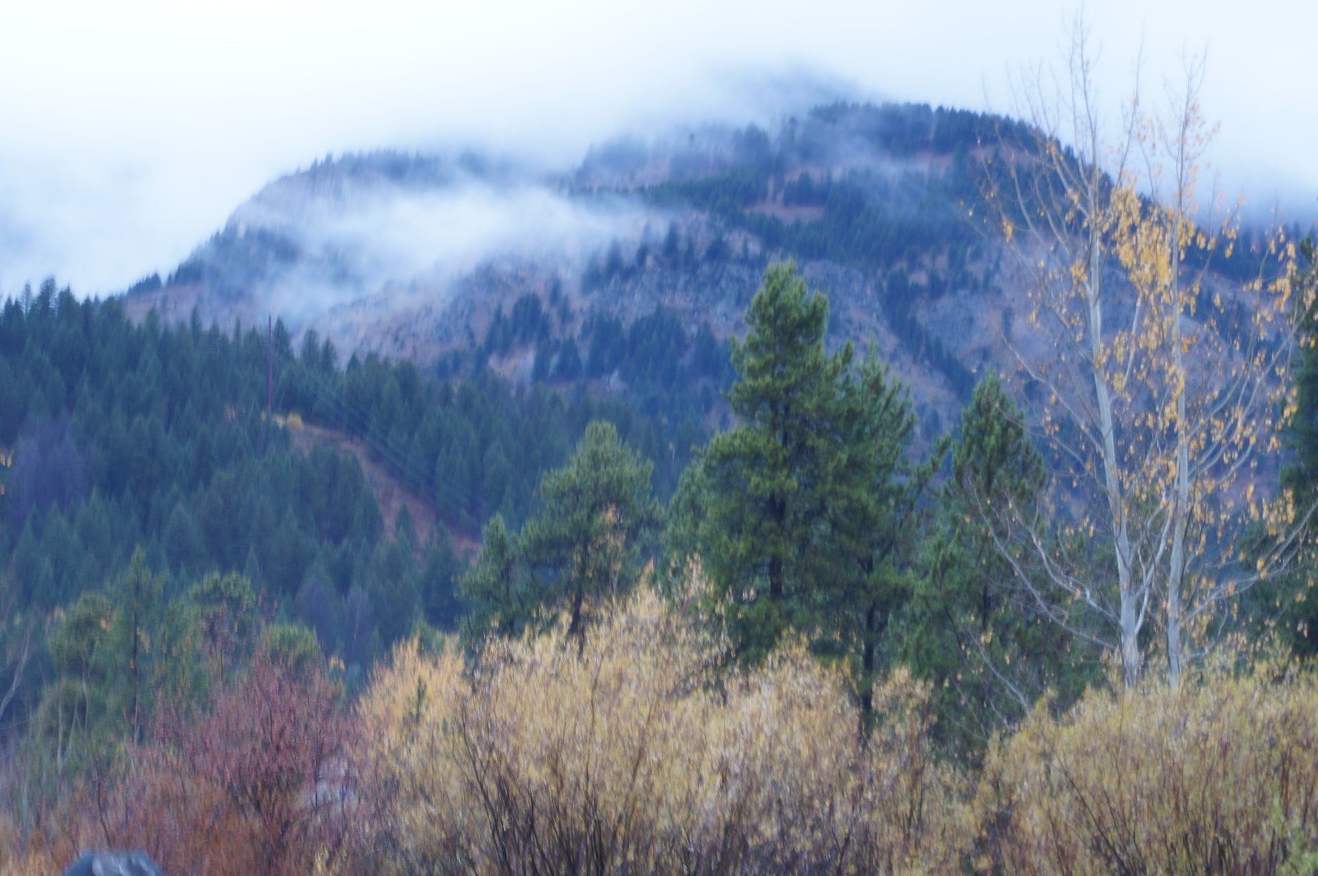 Jackson, Wyoming photo