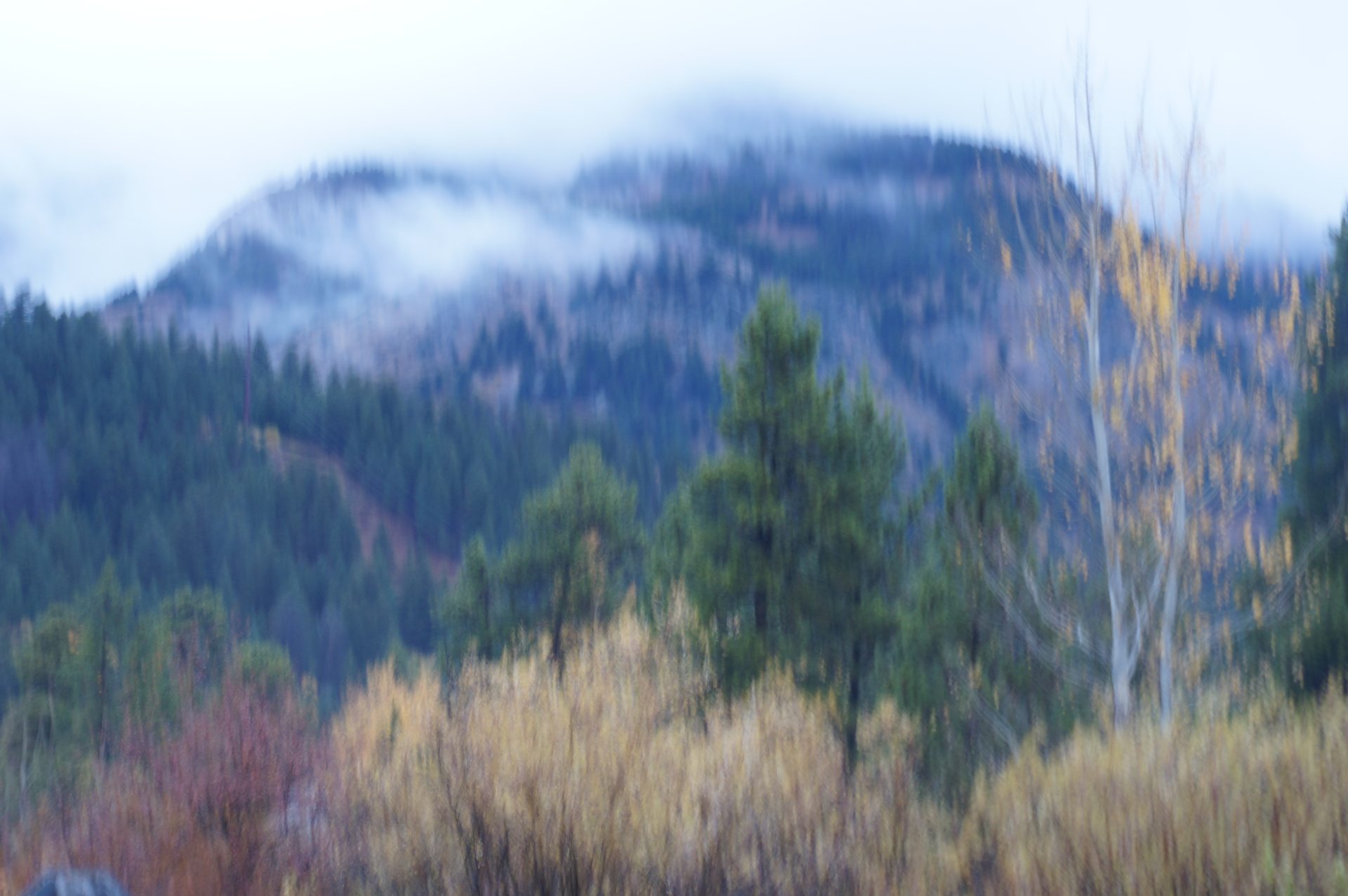 Jackson, Wyoming photo