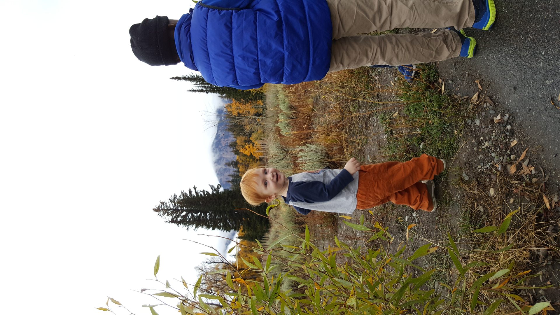 Jackson, Wyoming photo