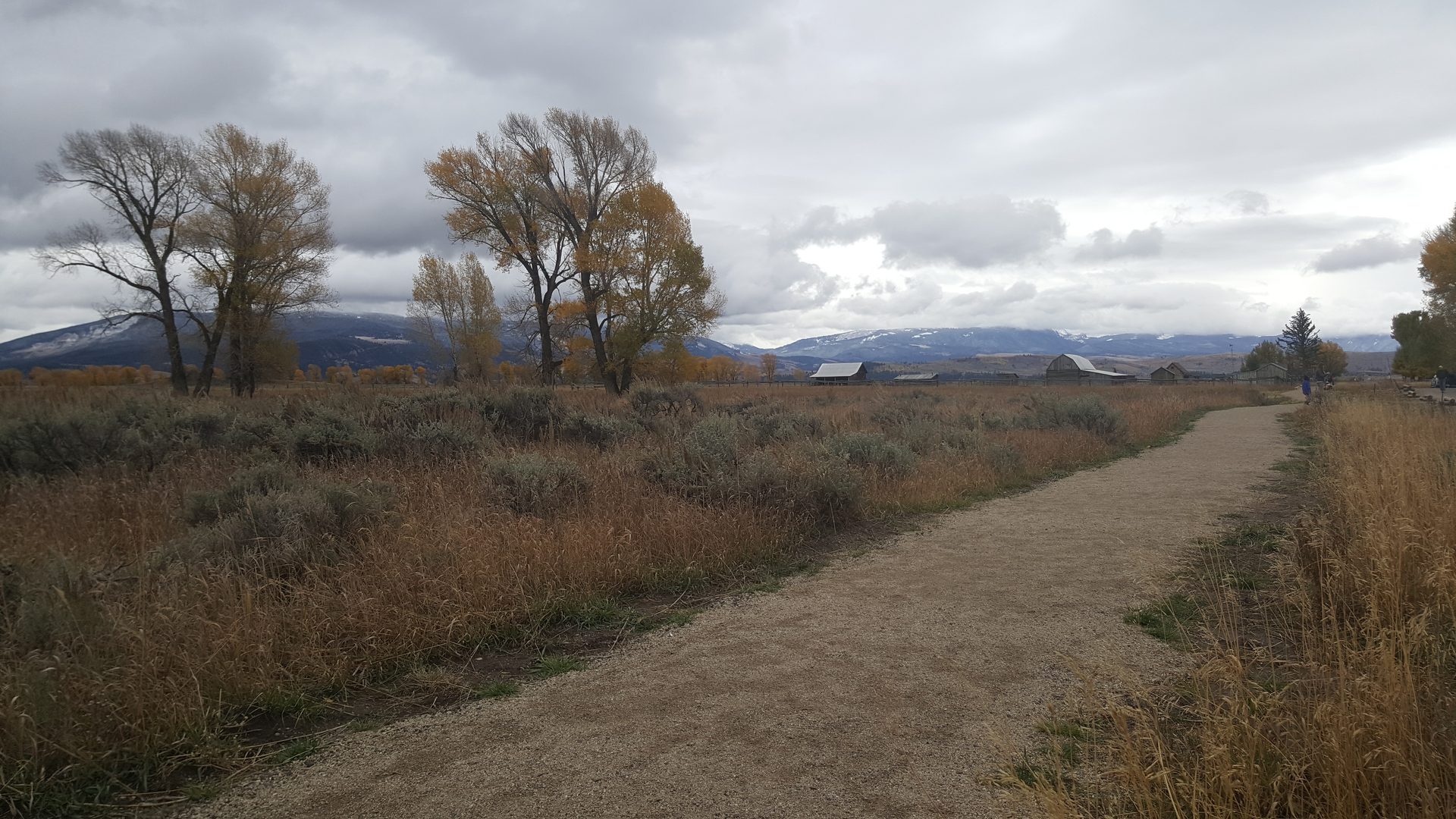 Jackson, Wyoming photo