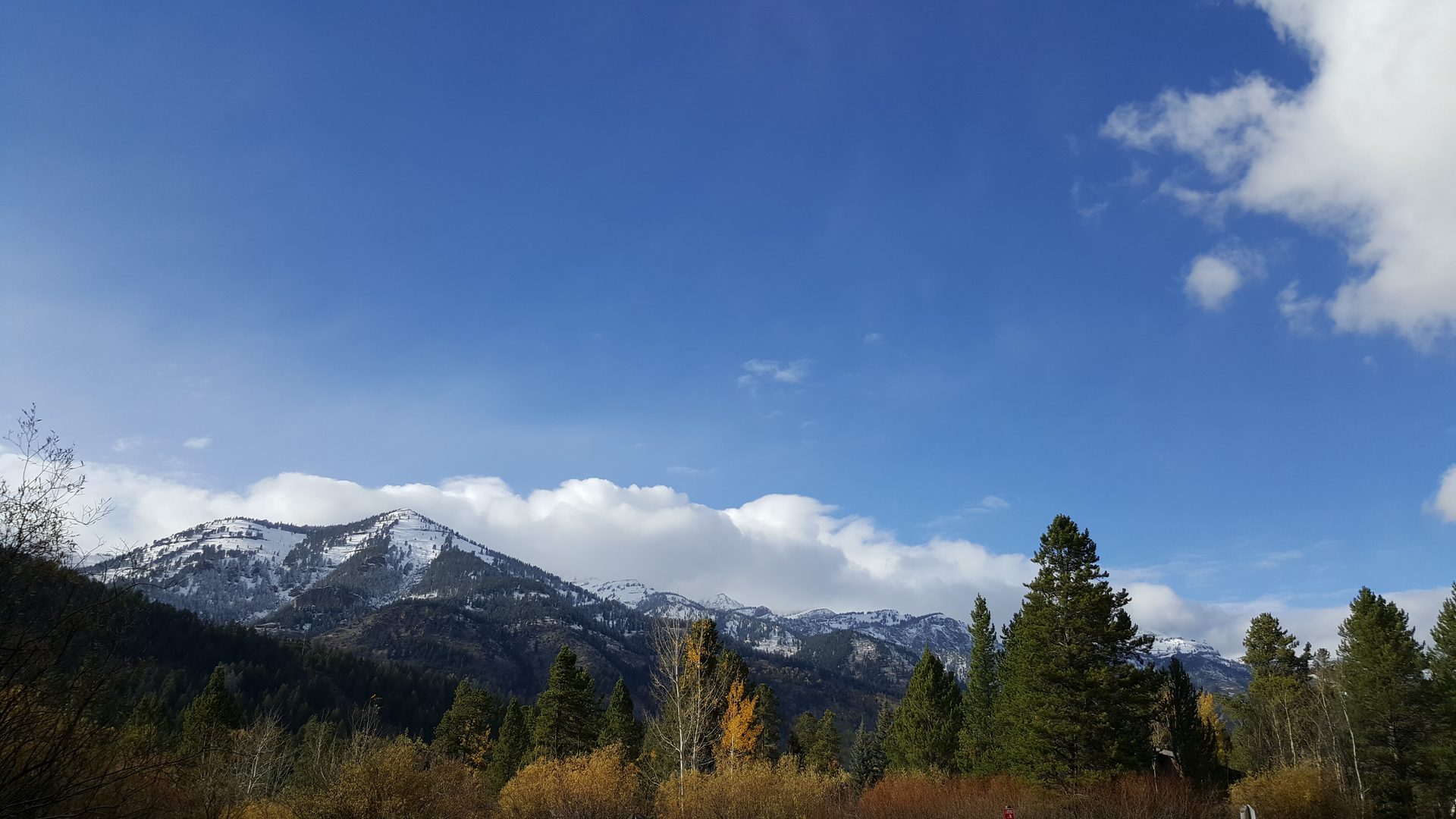 Jackson, Wyoming photo