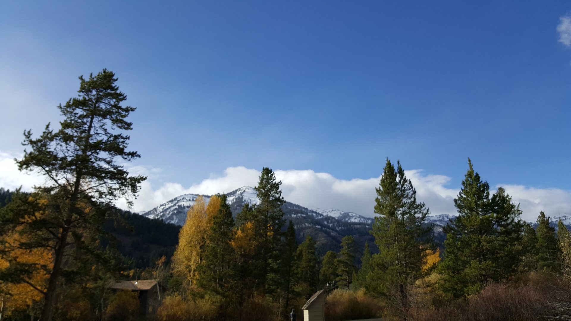 Jackson, Wyoming photo