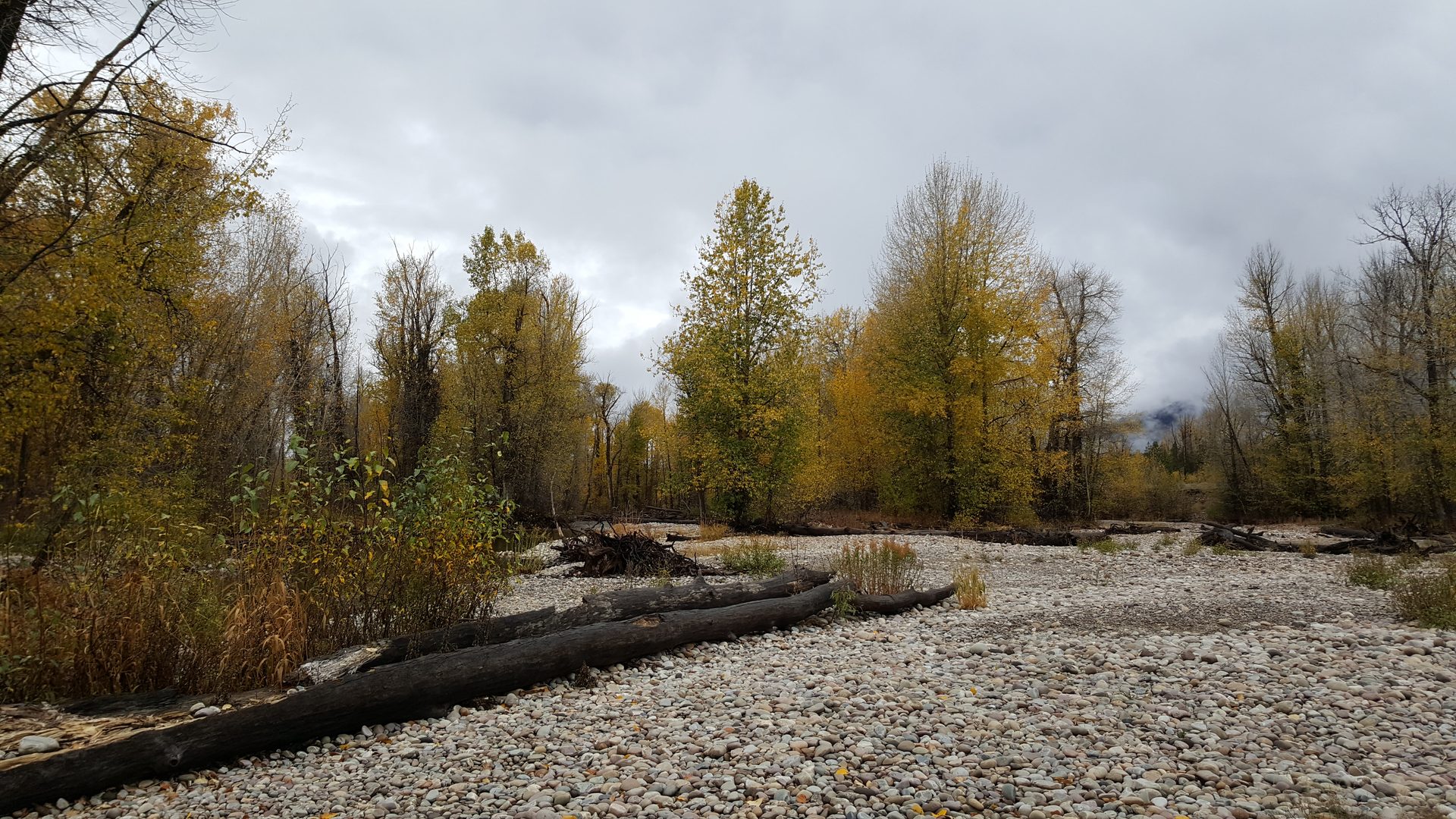 Jackson, Wyoming photo