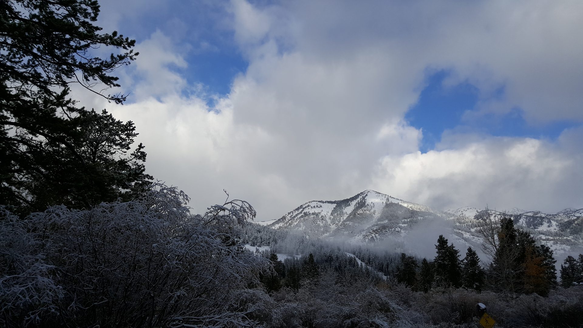 Jackson, Wyoming photo