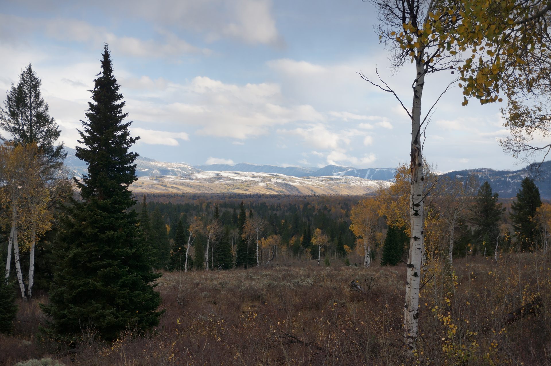 Jackson, Wyoming photo