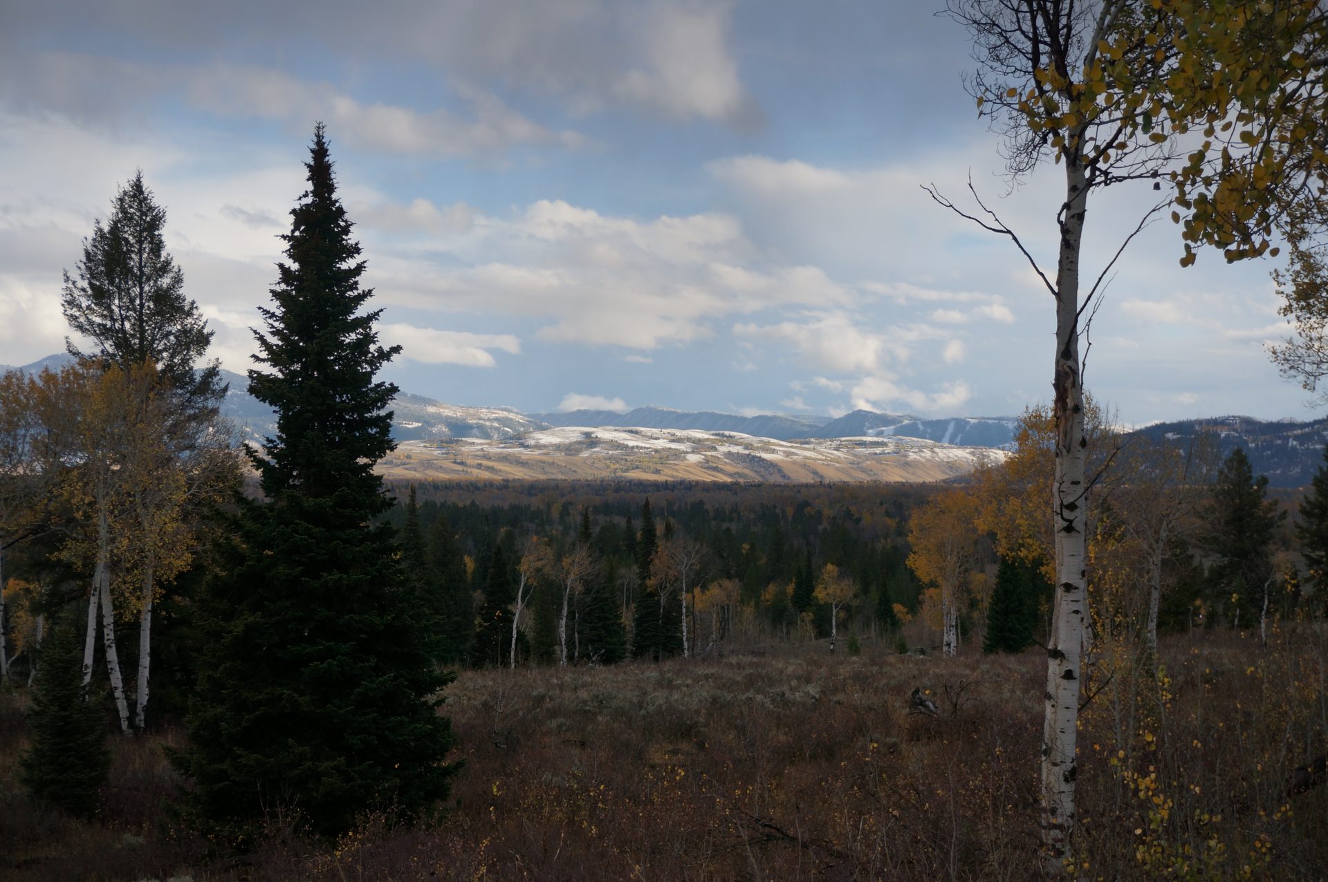 Jackson, Wyoming photo