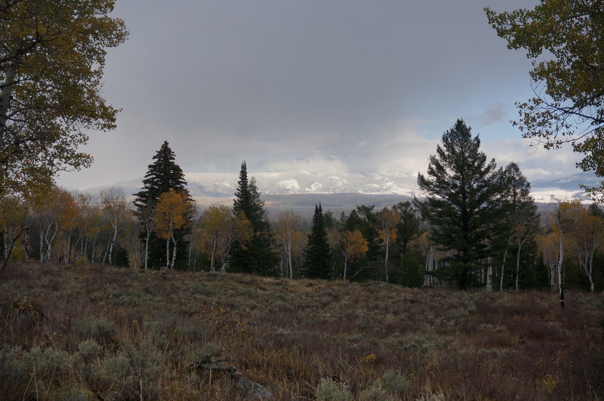 Jackson, Wyoming photo