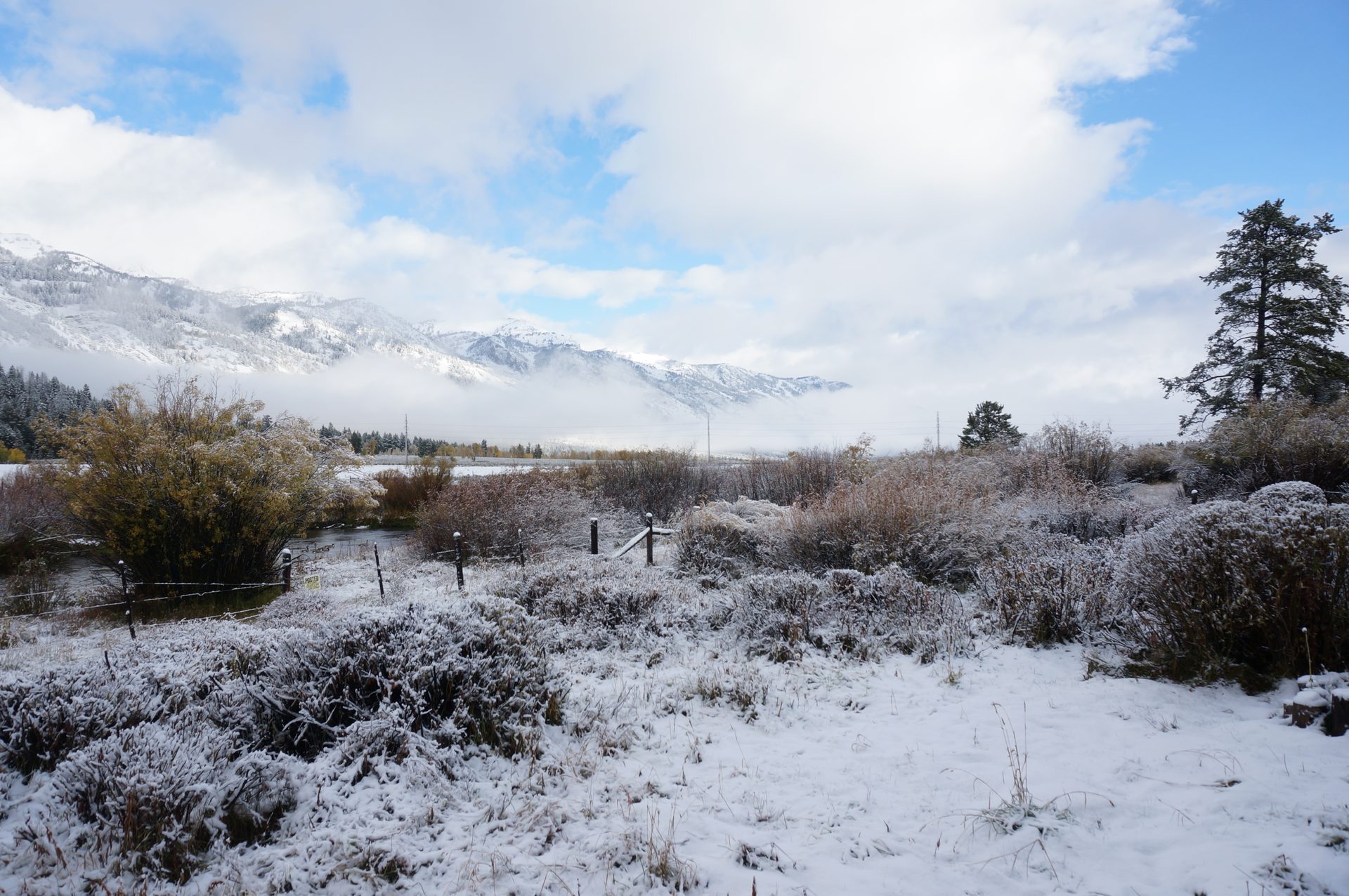 Jackson, Wyoming photo