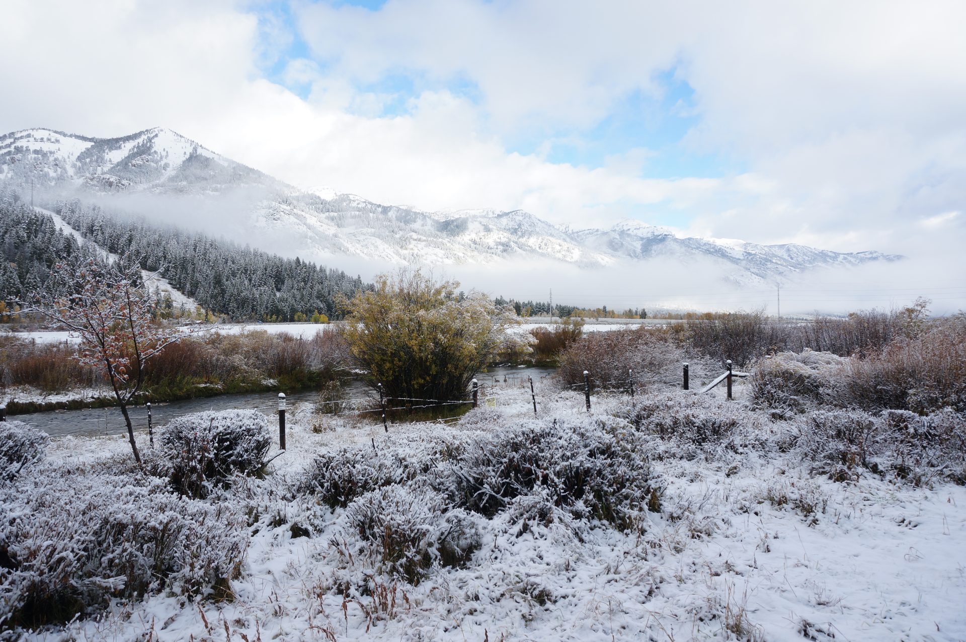 Jackson, Wyoming photo