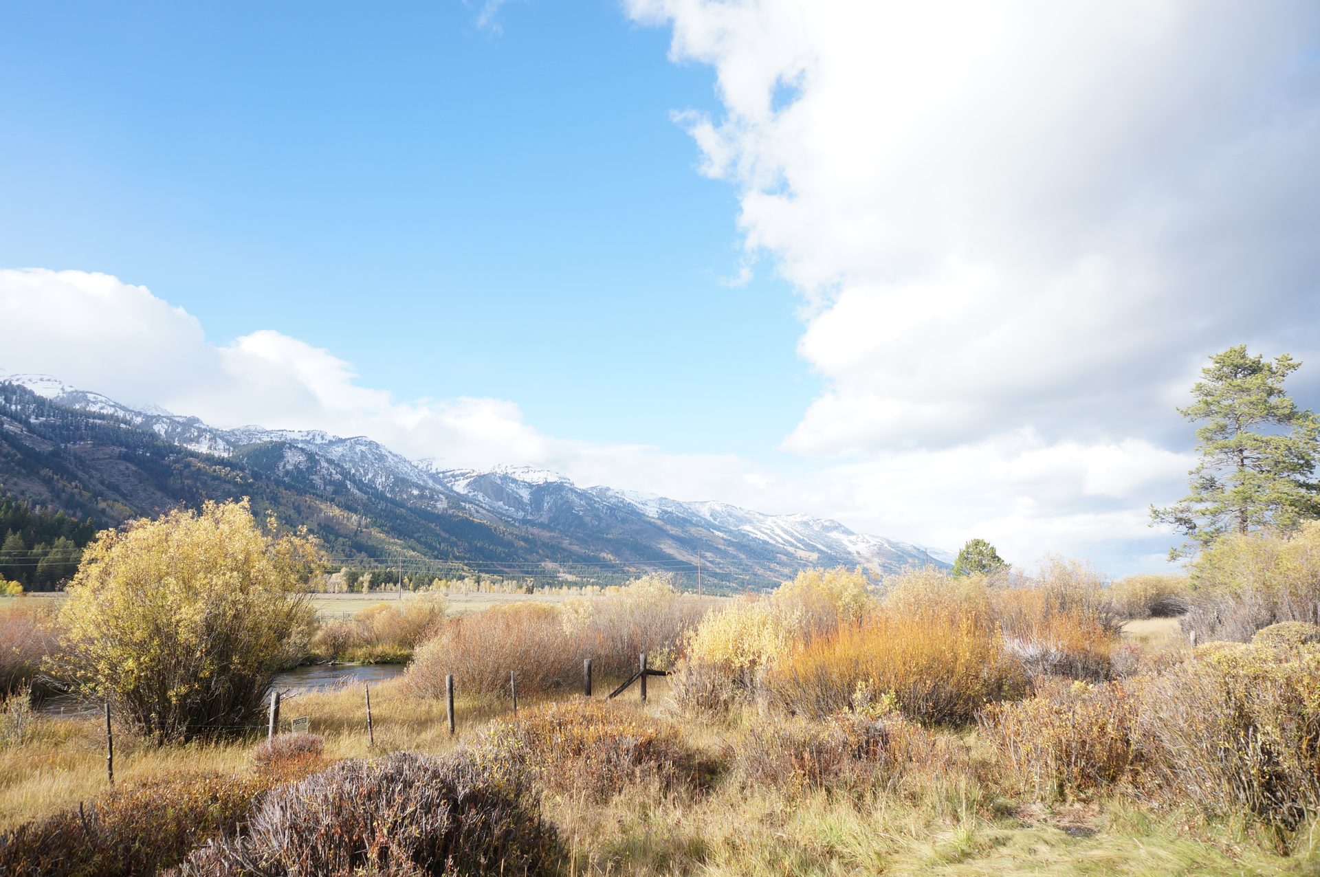 Jackson, Wyoming photo