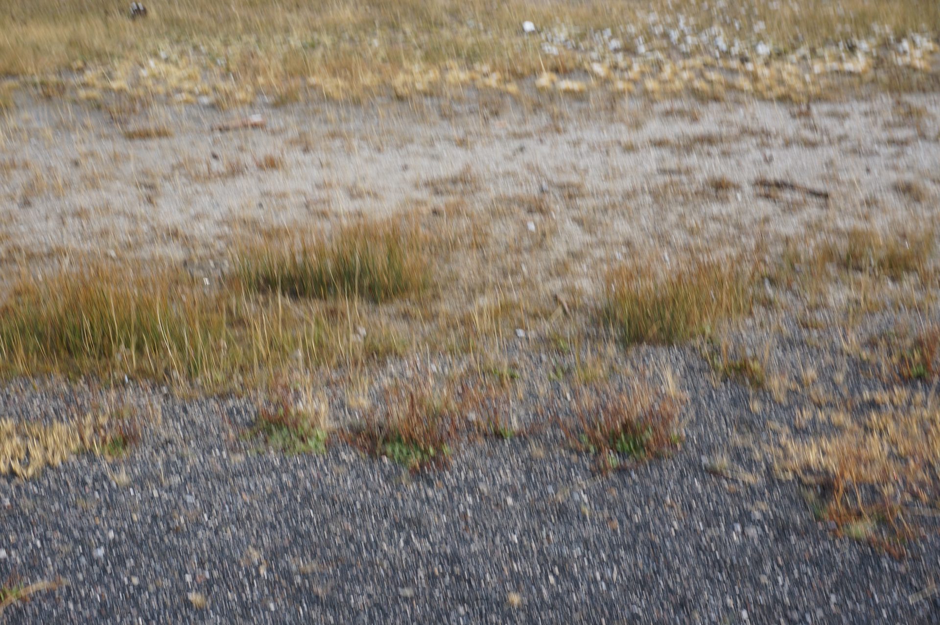 Jackson, Wyoming photo