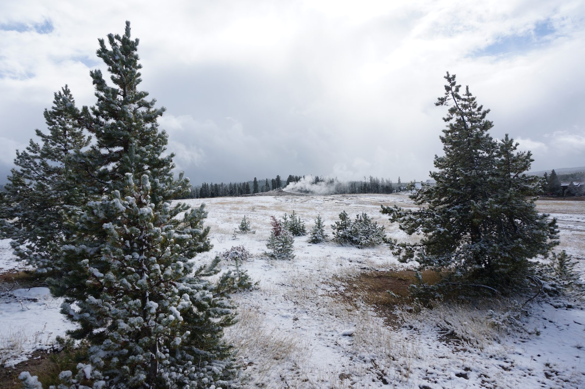 Jackson, Wyoming photo