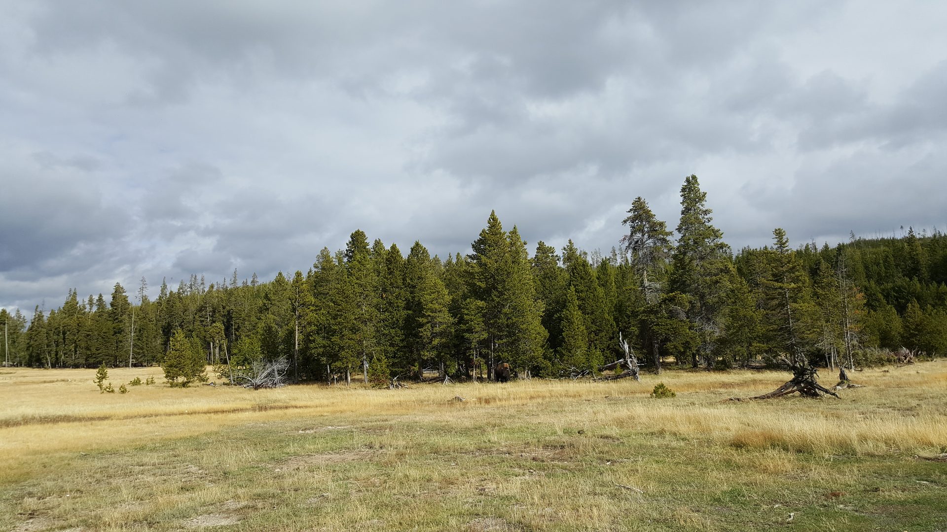 Jackson, Wyoming photo
