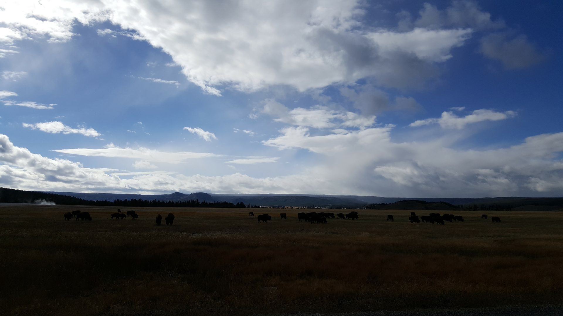 Jackson, Wyoming photo
