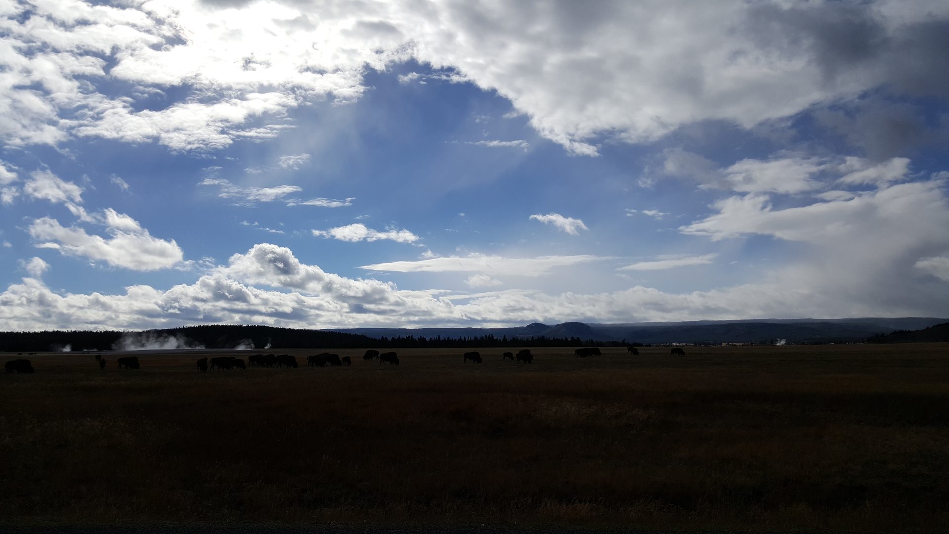 Jackson, Wyoming photo