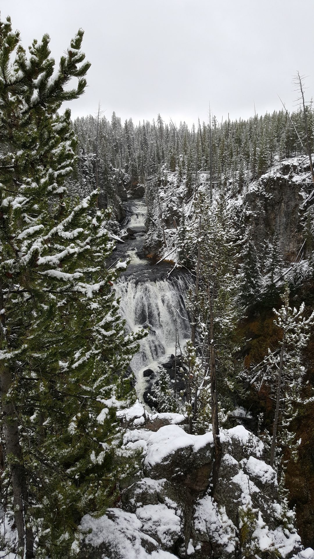 Jackson, Wyoming photo