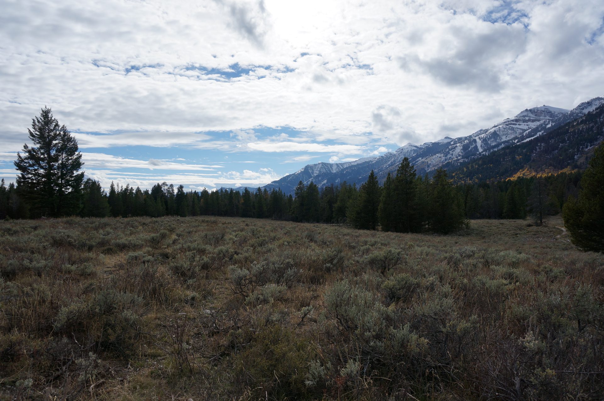 Jackson, Wyoming photo