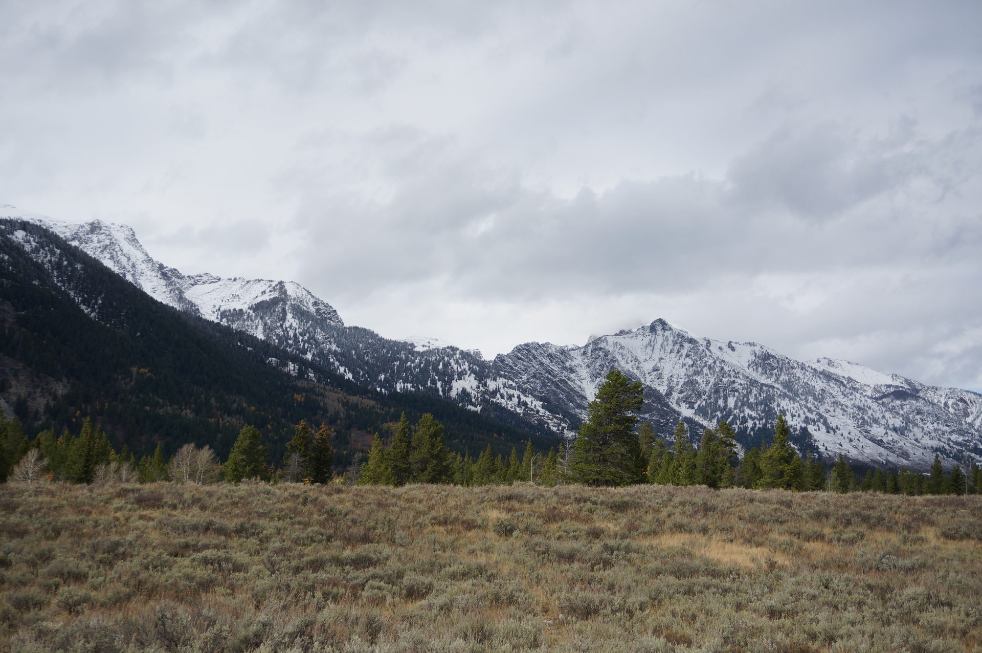 Jackson, Wyoming photo