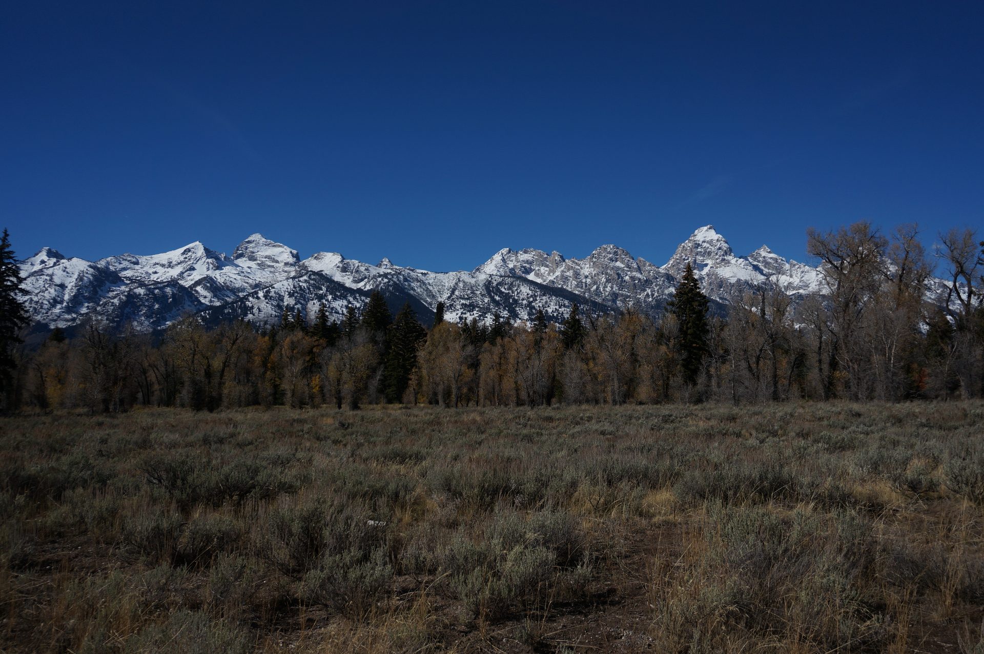 Jackson, Wyoming photo