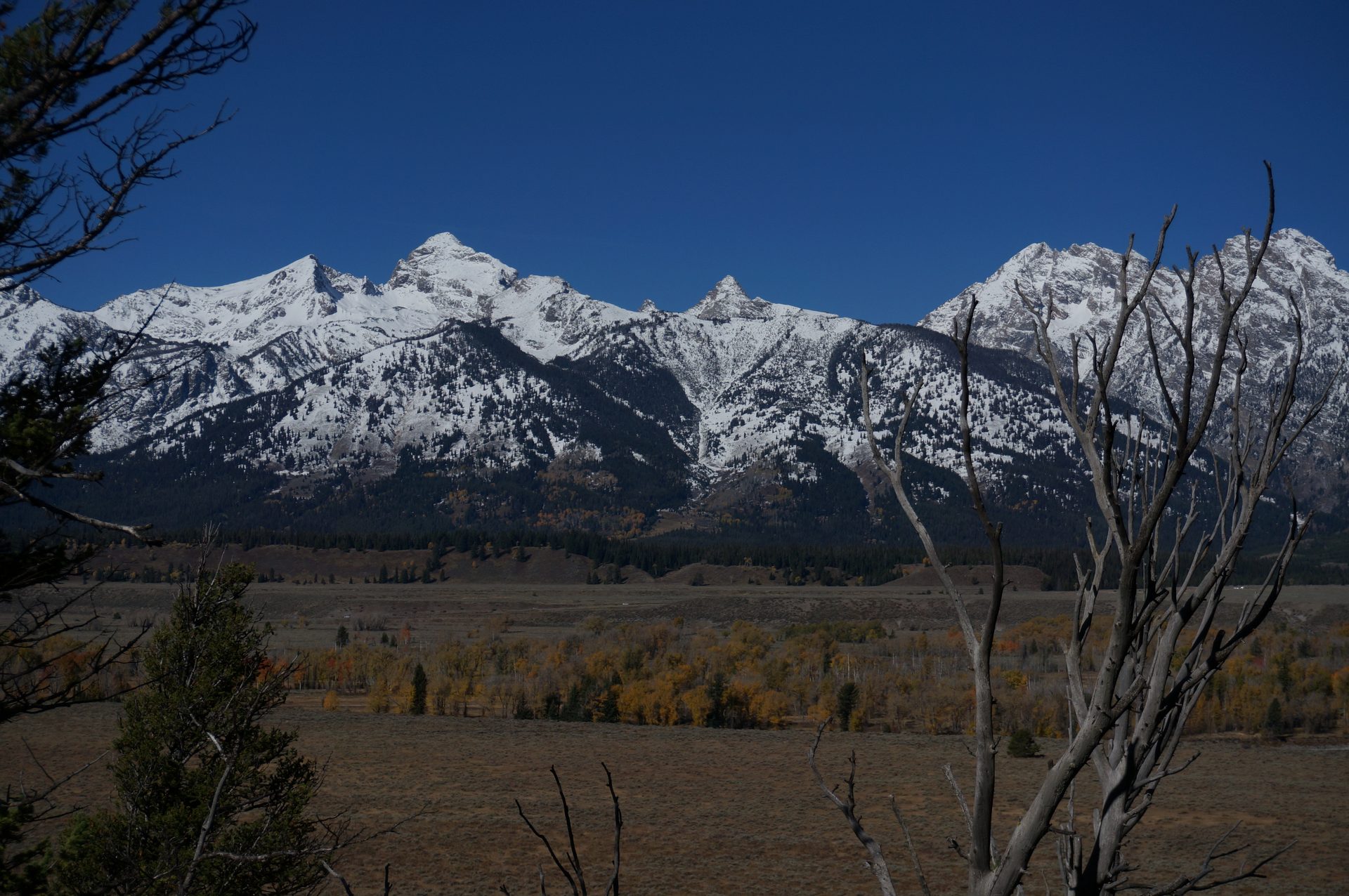 Jackson, Wyoming photo